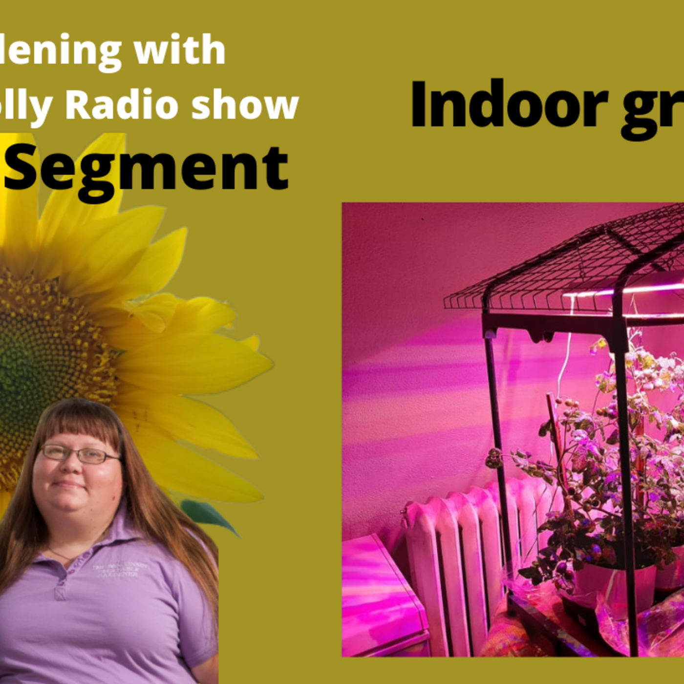 Episode 3: Segment 2 of  S5E29 Growing indoors, - The Gardening with Joey and Holly Radio Show