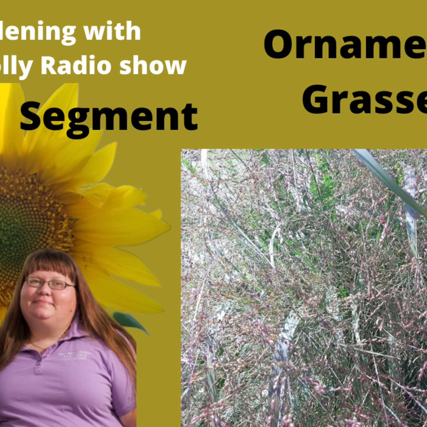 Episode 4: Segment 1 of S5E33  ornamental grasses-The Gardening with Joey and Holly Radio show