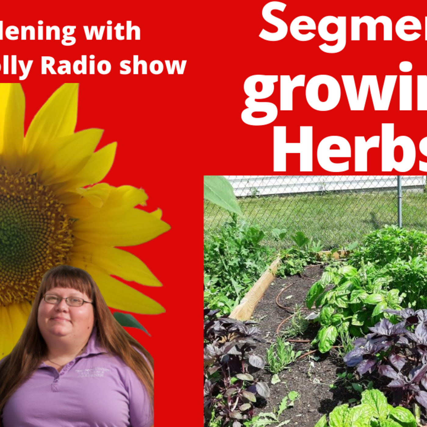 Episode 859: Segment 2 of S6E11 Growing Herbs, -The Gardening with Joey and Holly radio show