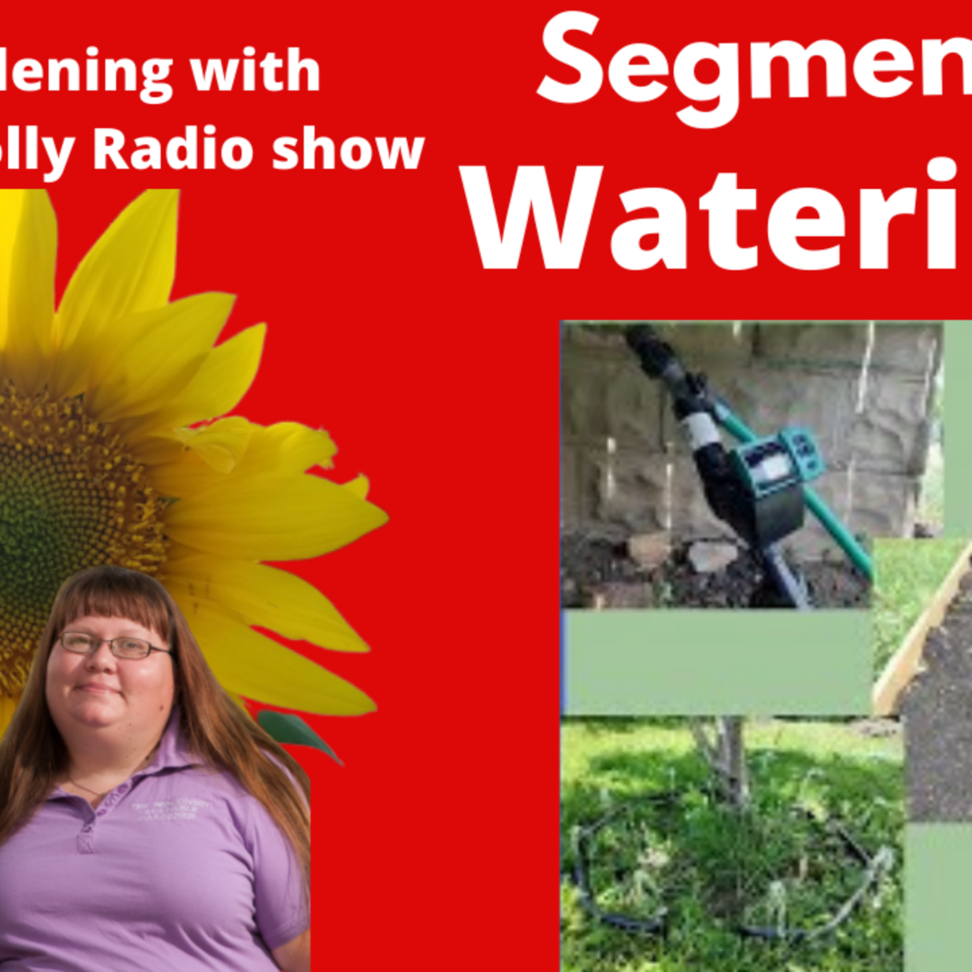 Episode 858: Segment 1 of S6E11 Watering your garden right -The Gardening with Joey and Holly radio show