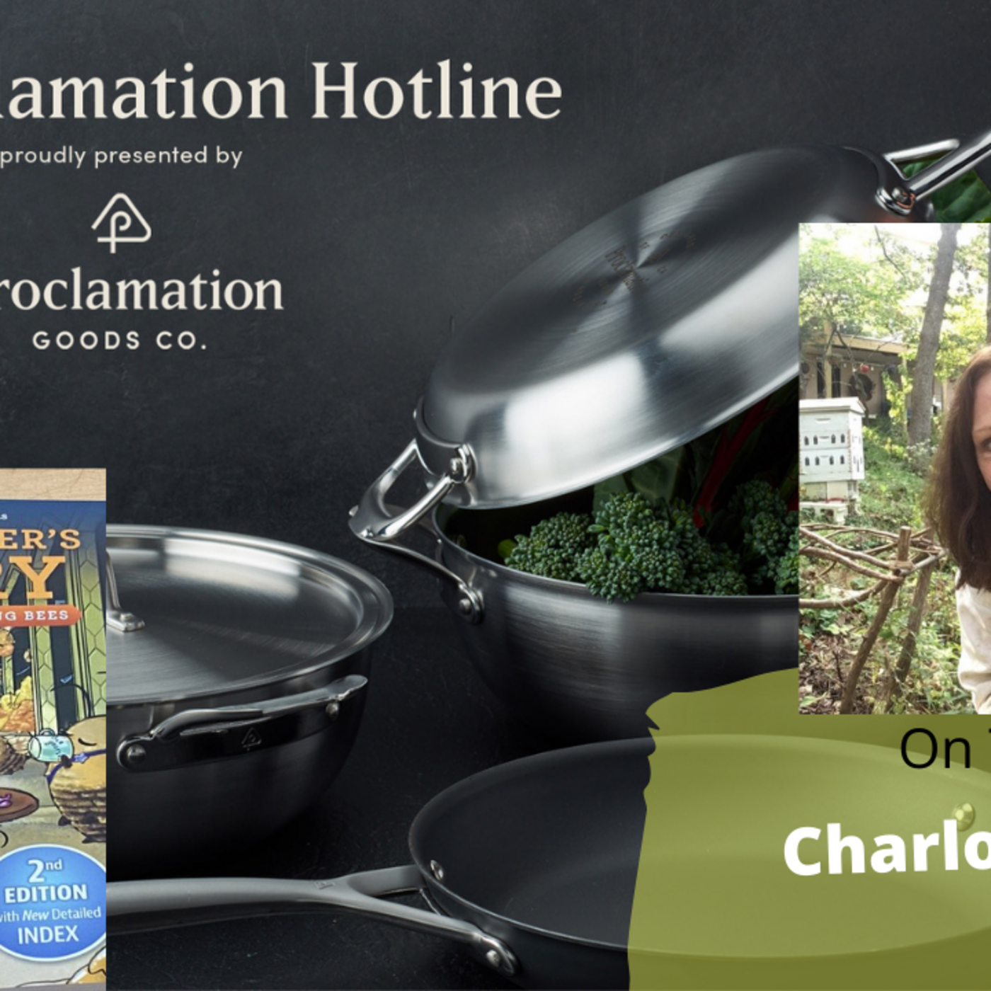 Episode 869: Segment 3 of S6E13 Guest Charlotte Wiggins -The Gardening with Joey and Holly radio show