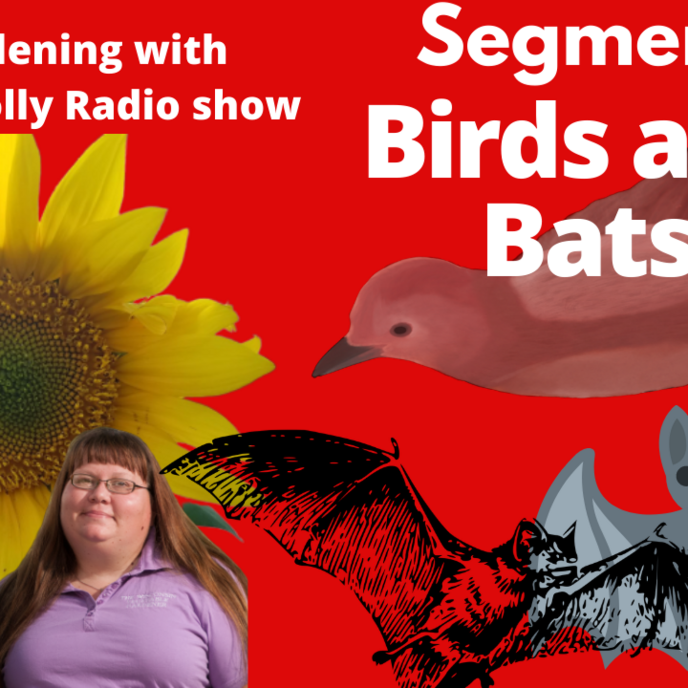 Episode 868: Segment 2 of S6E13  Birds & bats in the yard -The Gardening with Joey and Holly radio show