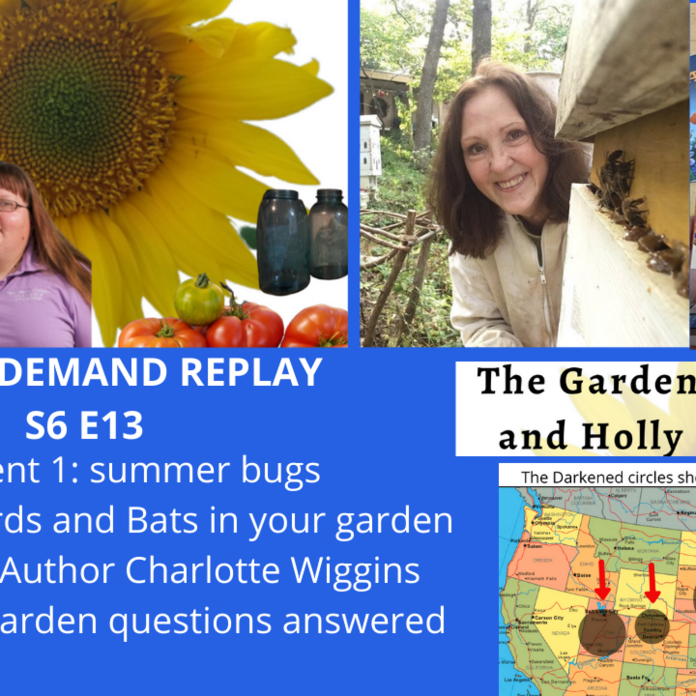 Episode 866:  S6E13 Summer Bugs, Birds & bats, guest Charlotte Wiggins -The Gardening  radio show