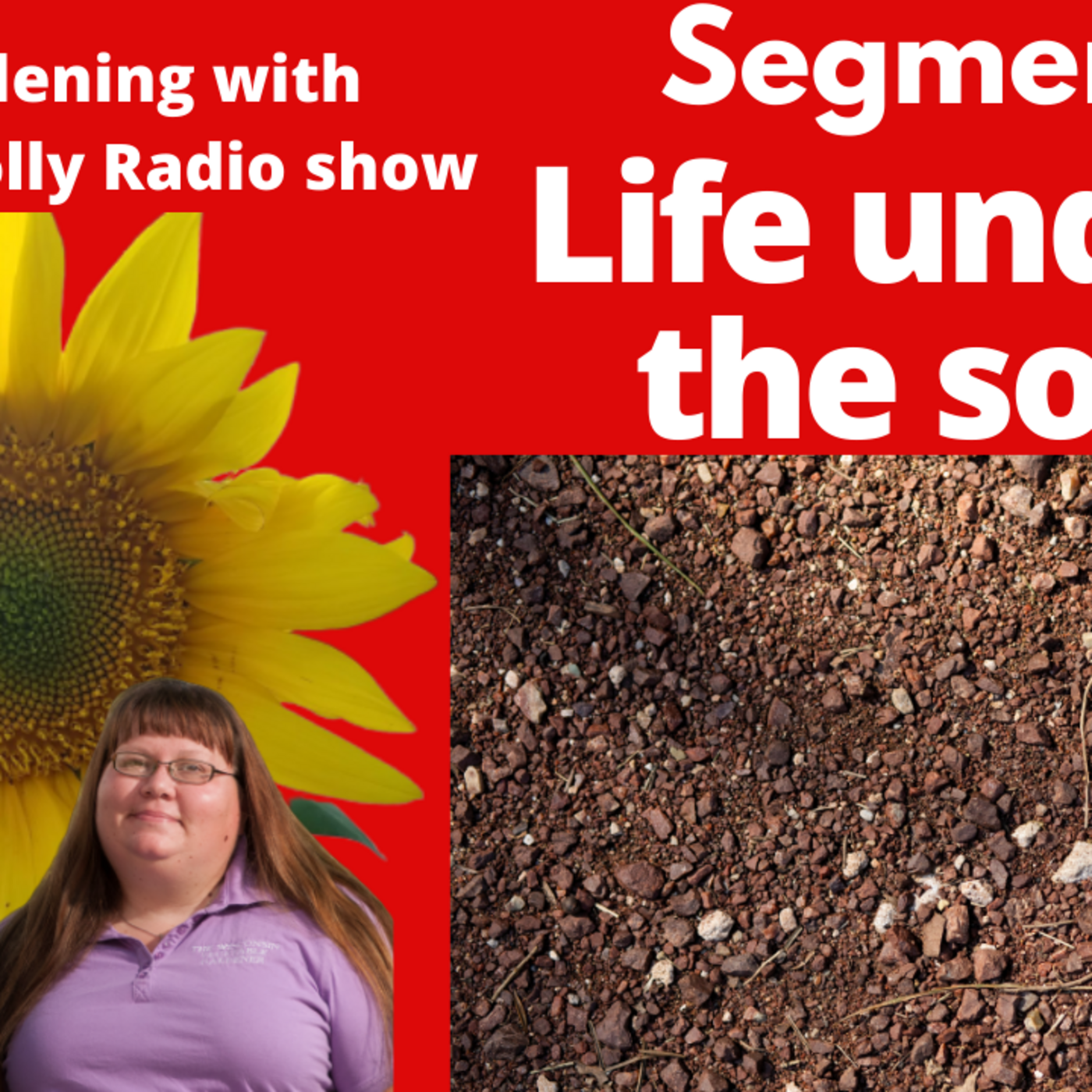 Episode 873: Segment 2 of S6E14 life under the soil  - The Gardening with Joey and Holly Radio Show