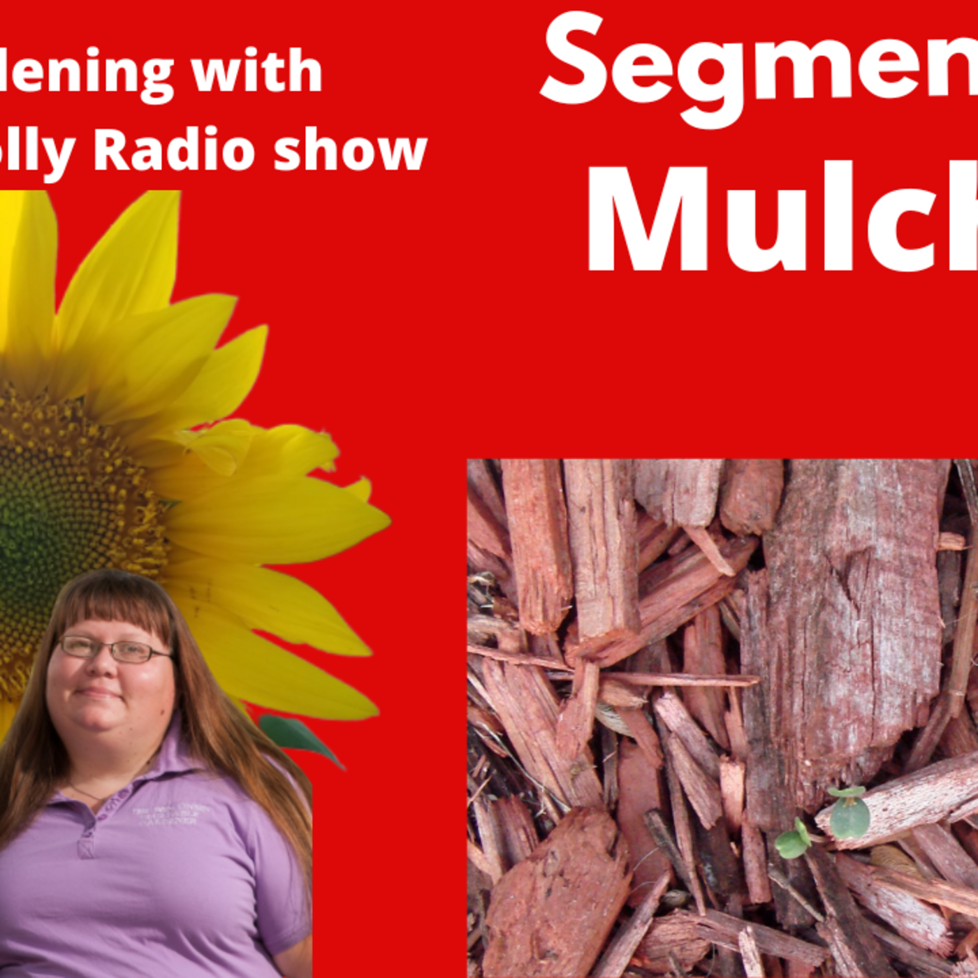 Episode 877: Segment 1 of S6E15, Mulches the Good and bad - The Gardening with Joey and Holly Radio Show