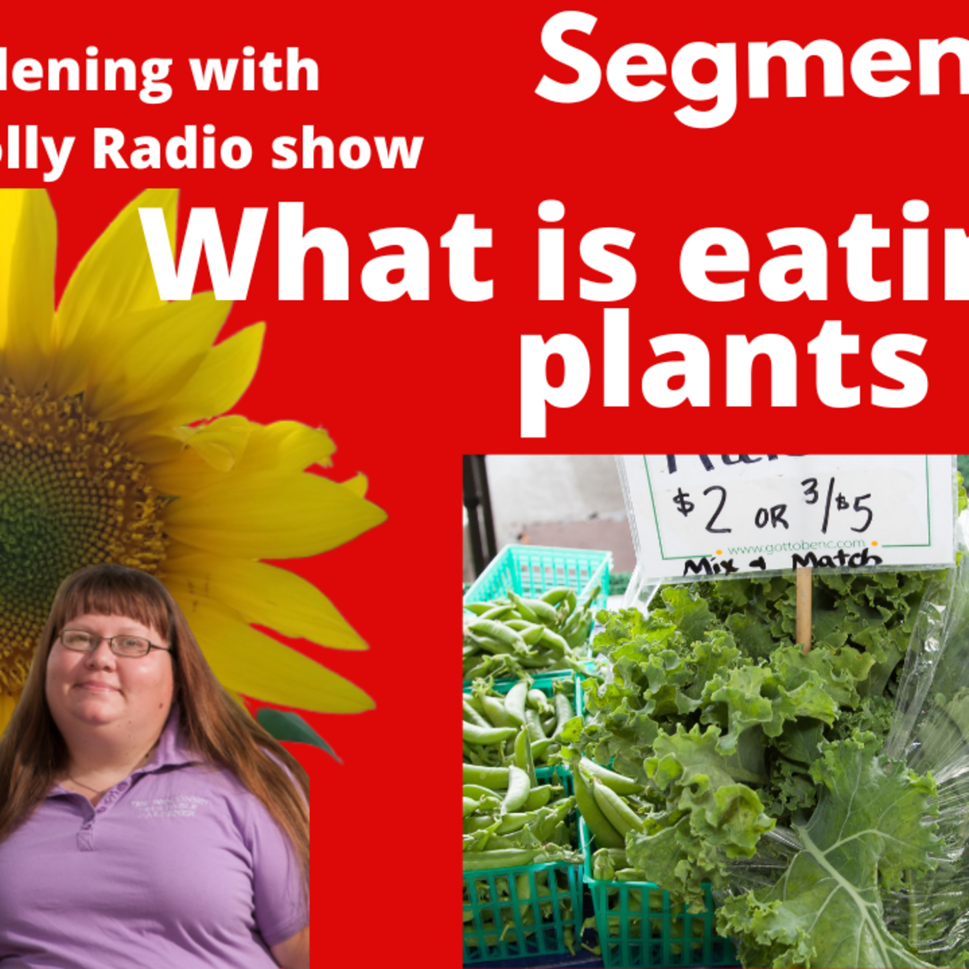 Episode 882: Segment 1 of S6E16, What's eating my plants, - The Gardening with Joey and Holly Radio show