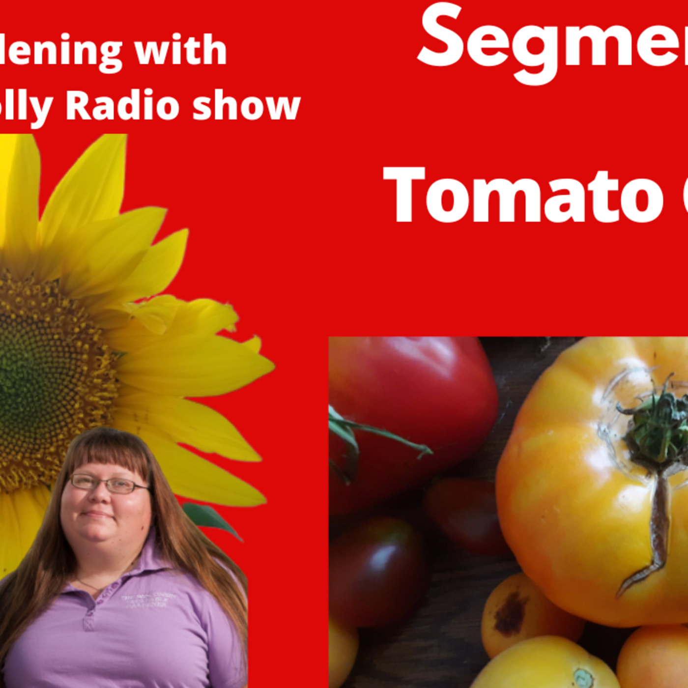 Episode 888: Segment 2 of S6E17 Summer Tomato care - The Gardening with Joey and Holly Radio show