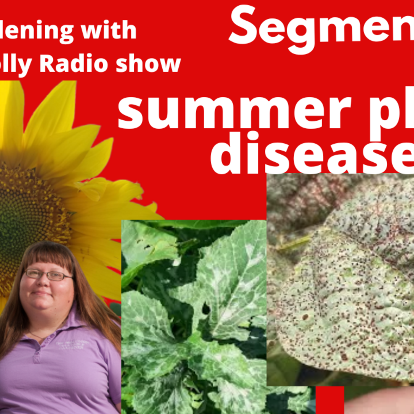 Episode 892: Segment 1 of S6E18 Summer plant  disease - The Gardening Gardening wih Joey and Holly Radio Show
