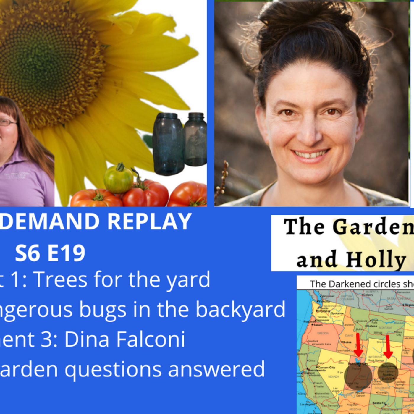 Episode 896: S6E19 Best trees, dangerous bugs, Guest Dina Falconi  - The Gardening  with Joey and Holly Radio Show