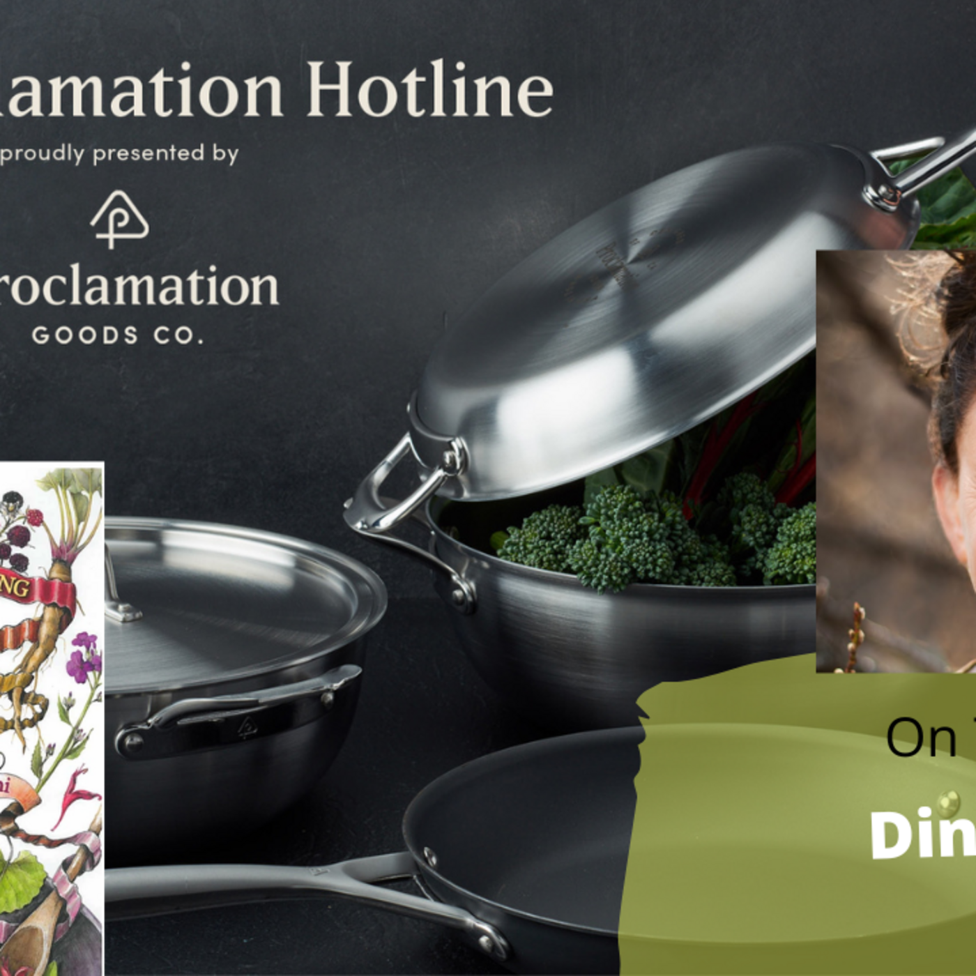 Episode 899: segment 3 of S6E19  Guest Dina Falconi clinical herbalist  - The Gardening  with Joey and Holly Radio Show