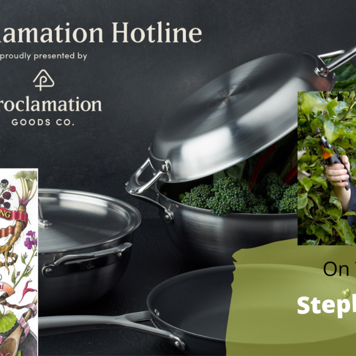 Episode 904: Segment 3 of S6E20 Guest Author  Stephanie Rose - The Gardening with Joey and Holly Radio Show