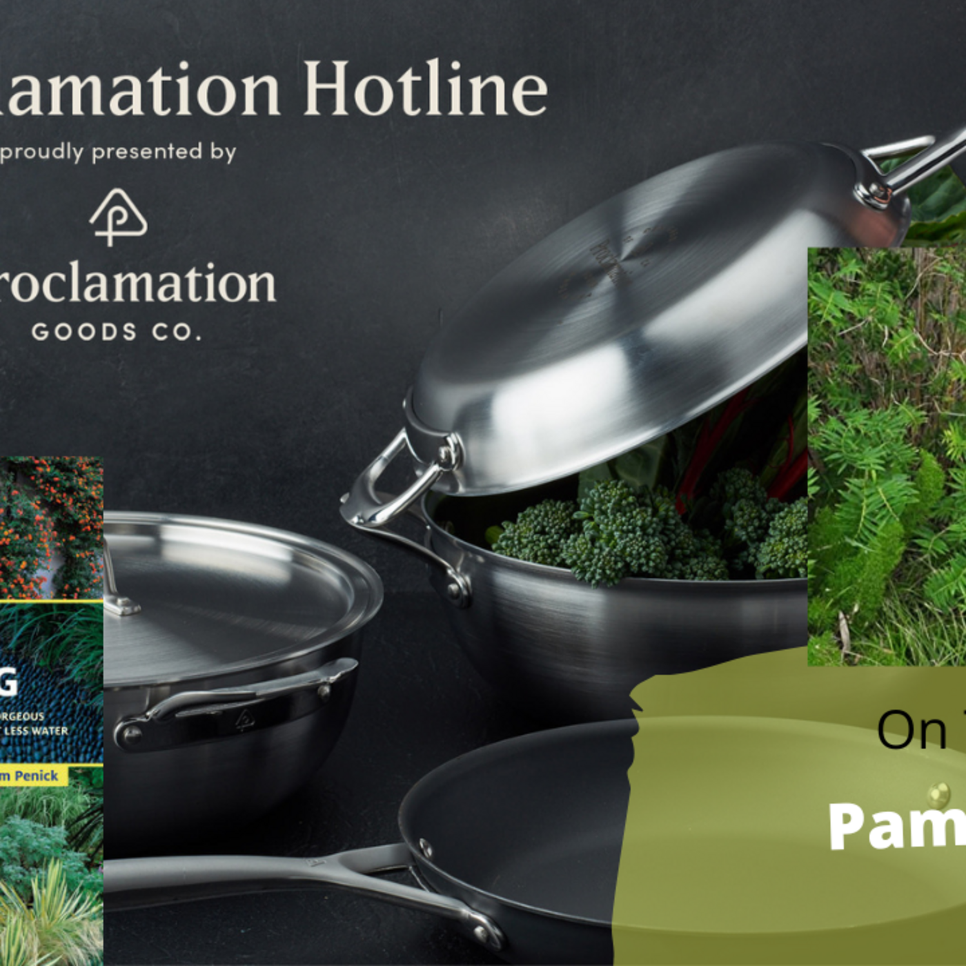 Episode 914: Segment 3 of S6E22  guest Pam Penick - The Gardening with Joey & Holly Radio Show