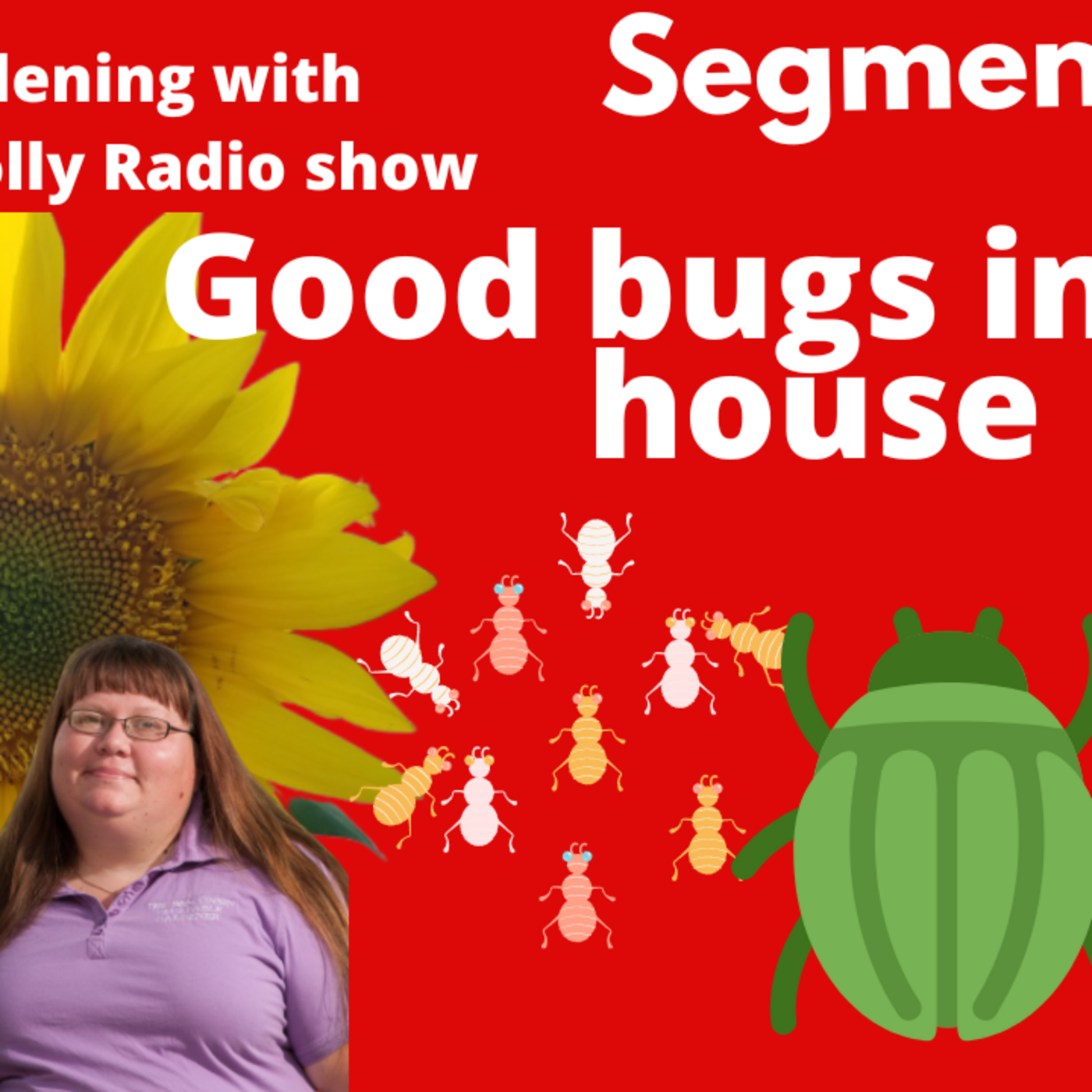 Episode 927: Segment 1 of S6E25 Good bugs in your home - The Gardening with Joey and Holly Radio Show