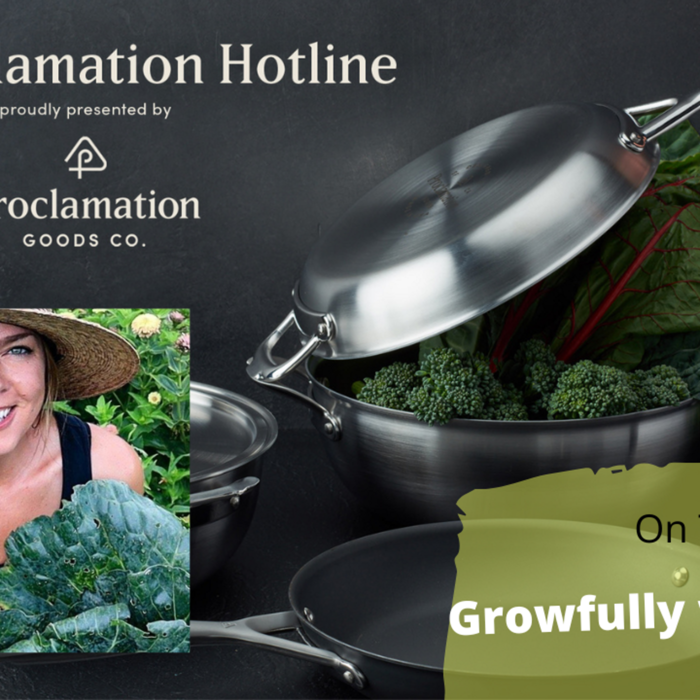 Episode 939: Segment 3 of S6E27 Guest Growfully with Jenna -The Gardening with Joey and Holly Radio Show