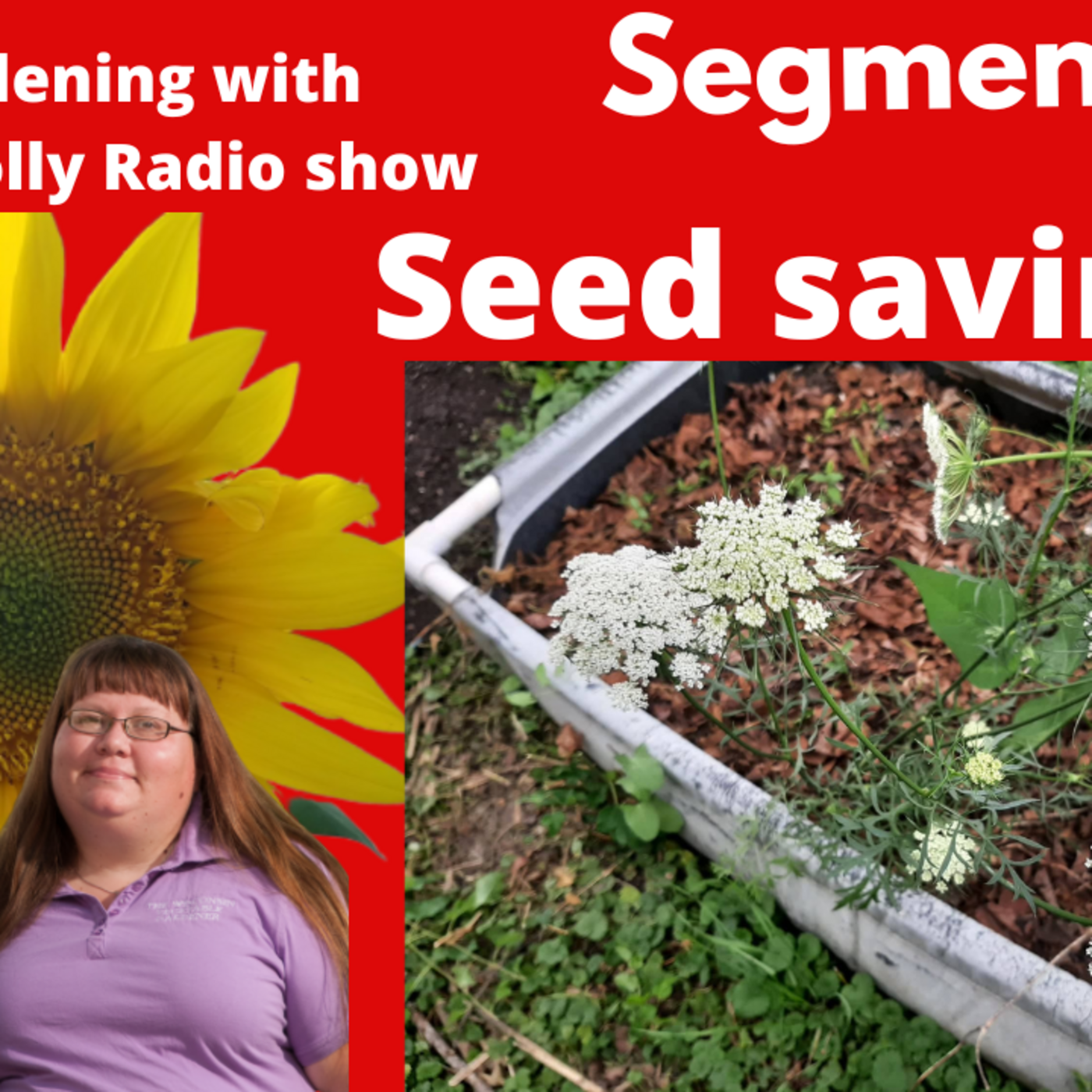 Episode 952:  Segment 1 of S6E30 Seed saving - The Gardening with Joey and Holly Radio Show