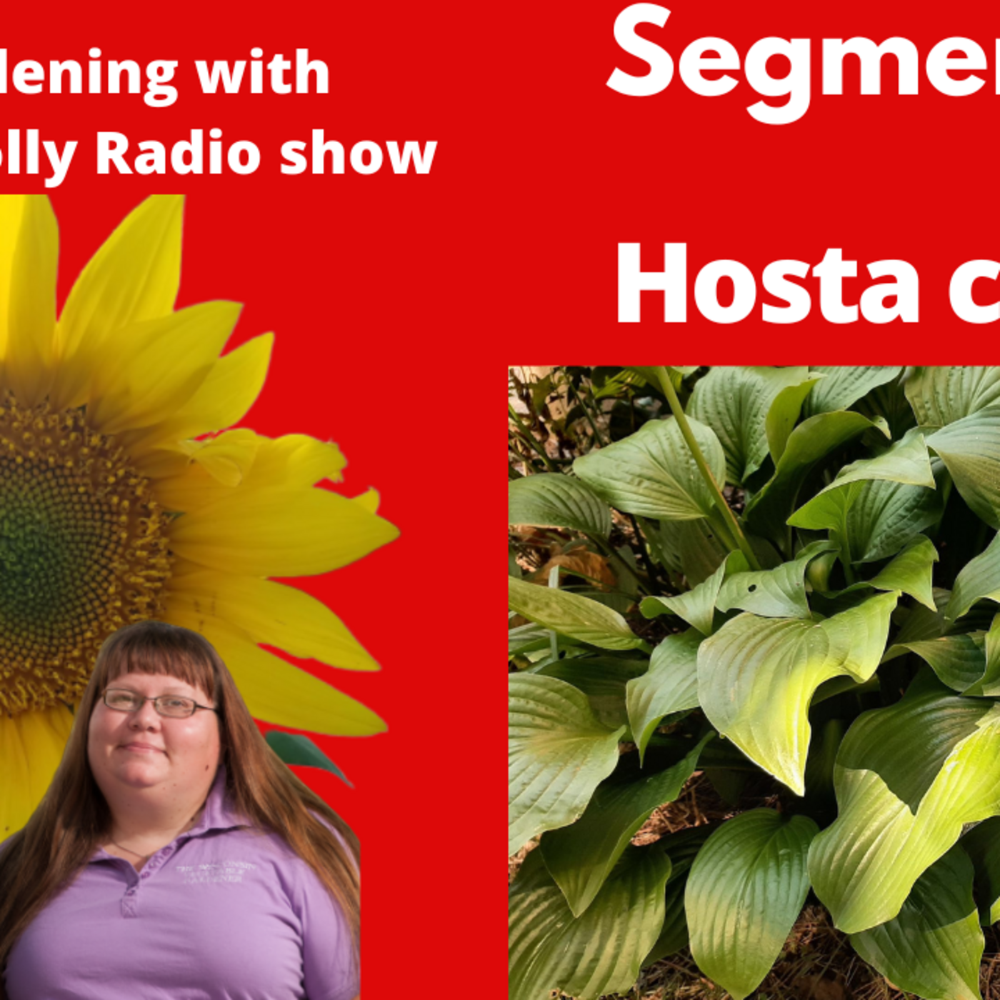 Episode 953:  Segment 2 of S6E30  Hosta Fall Care, - The Gardening with Joey and Holly Radio Show
