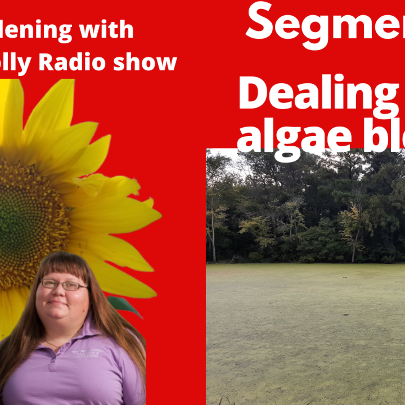 Episode 958: Segment 2 of S6E31 dealting with Algae bloom - The Gardening with Joey & Holly Radio show