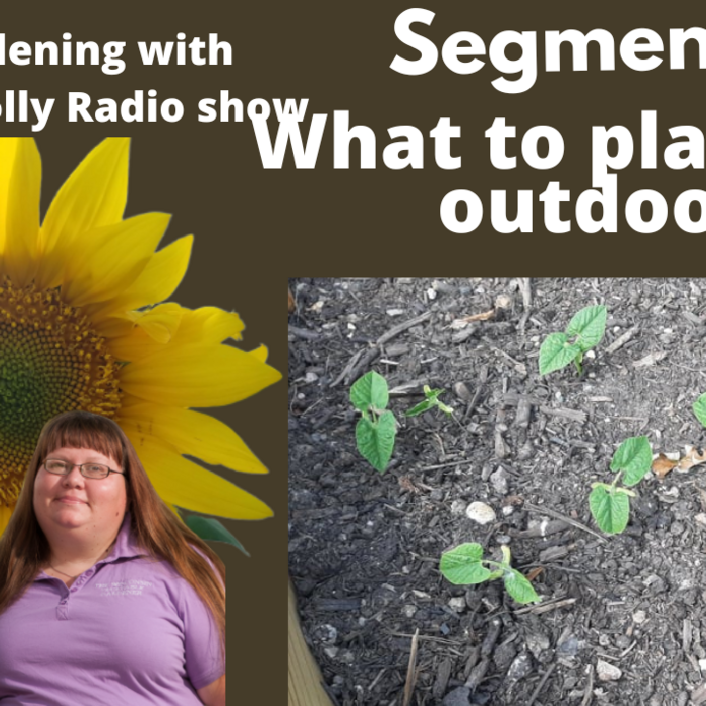 Episode 987: Segment 1 of S7E2 what to plant 1st first is the garden -The Gardening with Joey and Holly Radio show