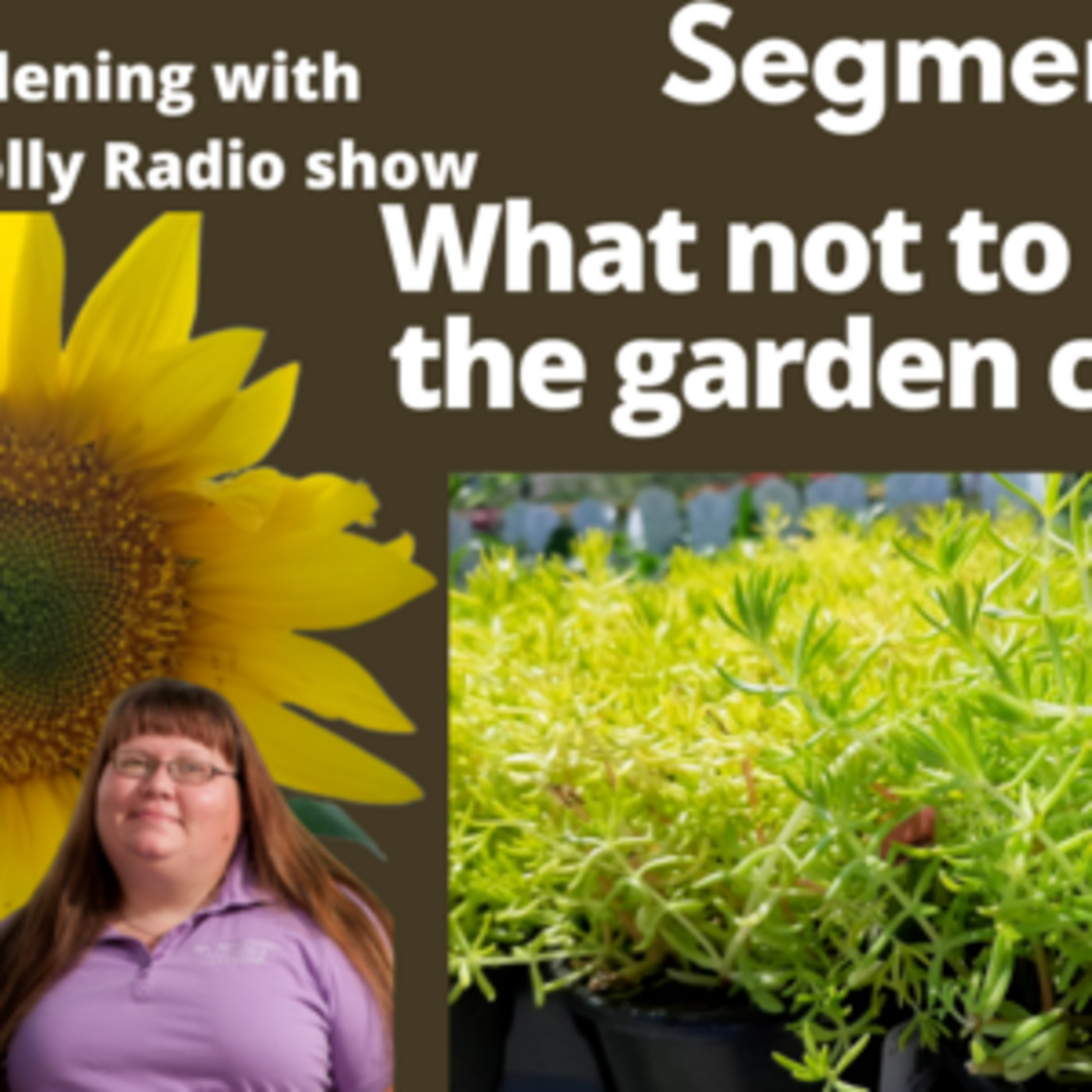 Episode 988: Seg 2 of S7E2 what  plants not to buy at garden center -The Gardening with Joey and Holly Radio show