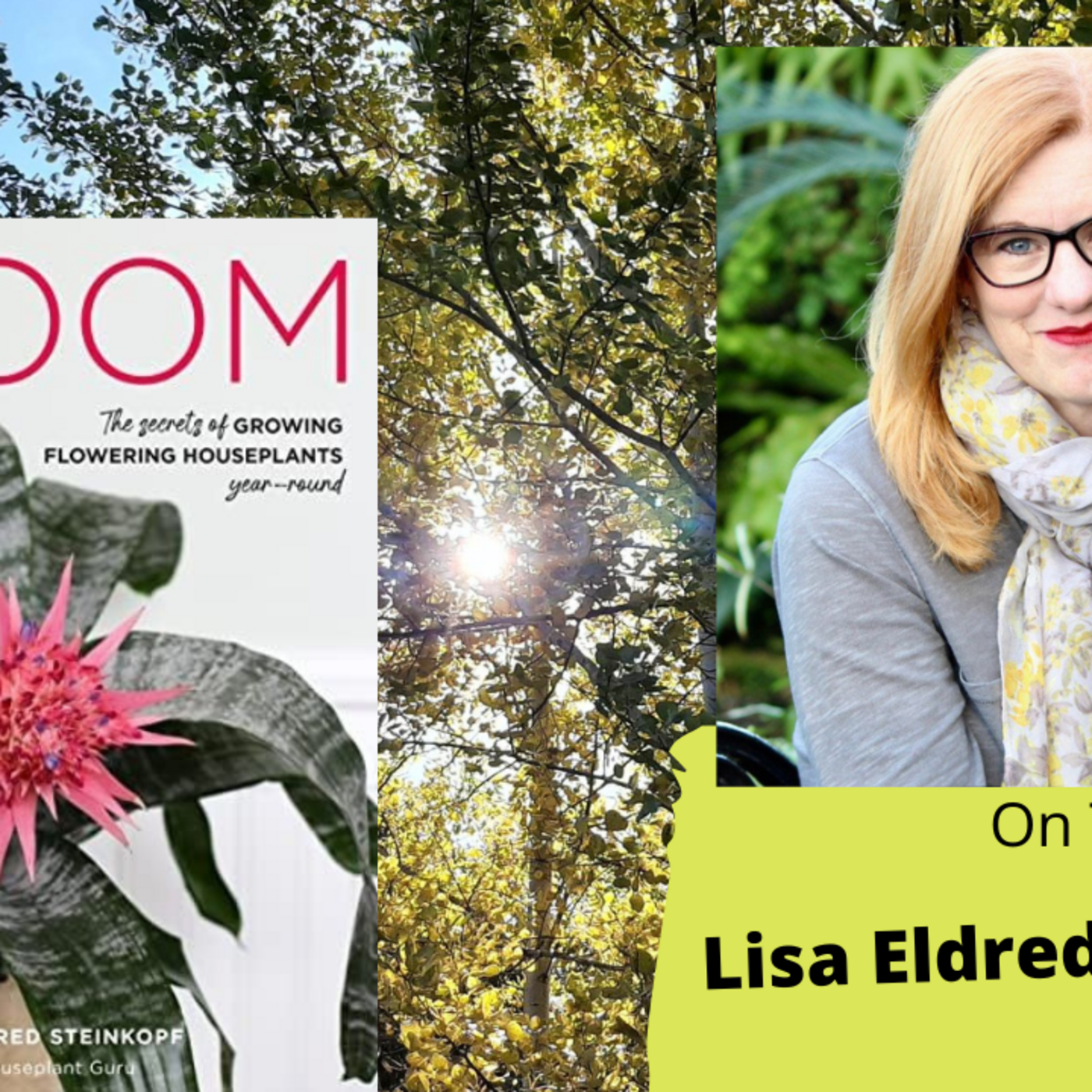 Episode 994: Segment 3 of S7E3, Guest Lisa Eldred Steinkopf -The Gardening with Joey and Holly Radio show