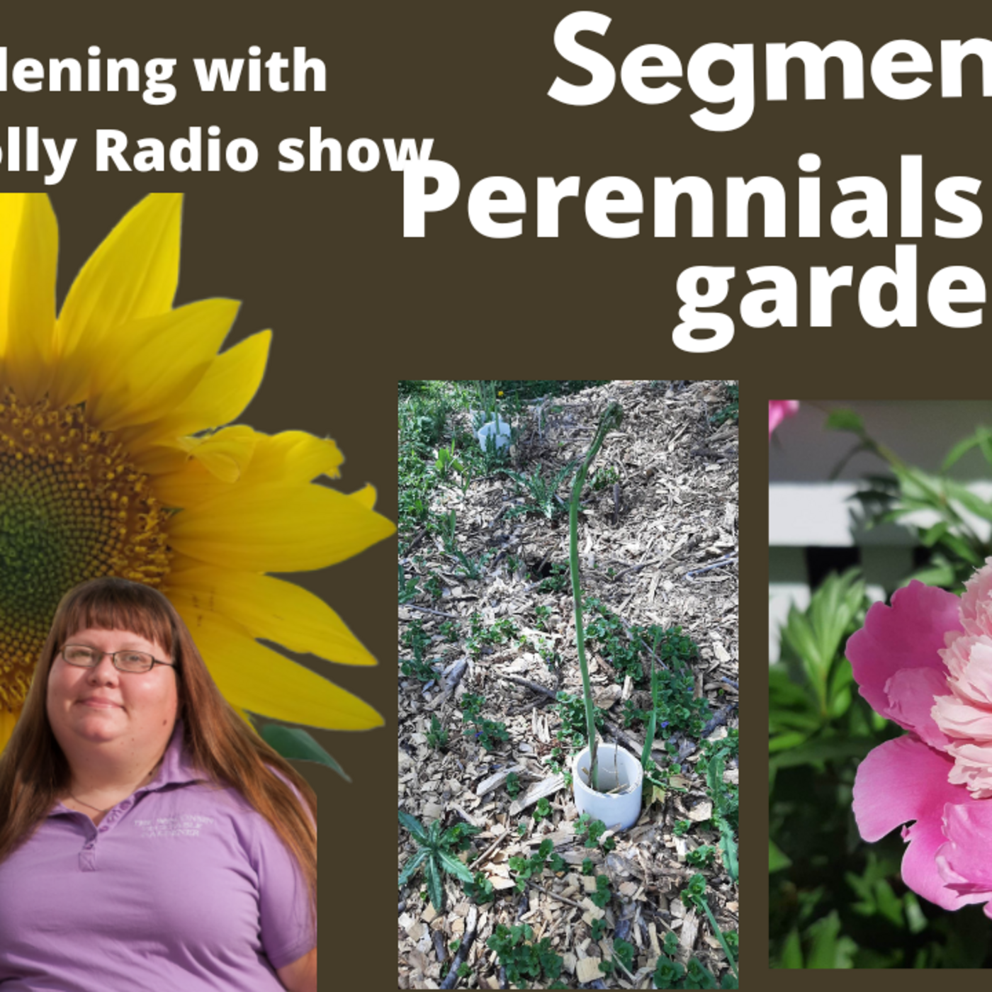 Episode 1002: Segment 1 of S7E5 perennials in the garden - The Gardenig With Joey and Holly Radio Show
