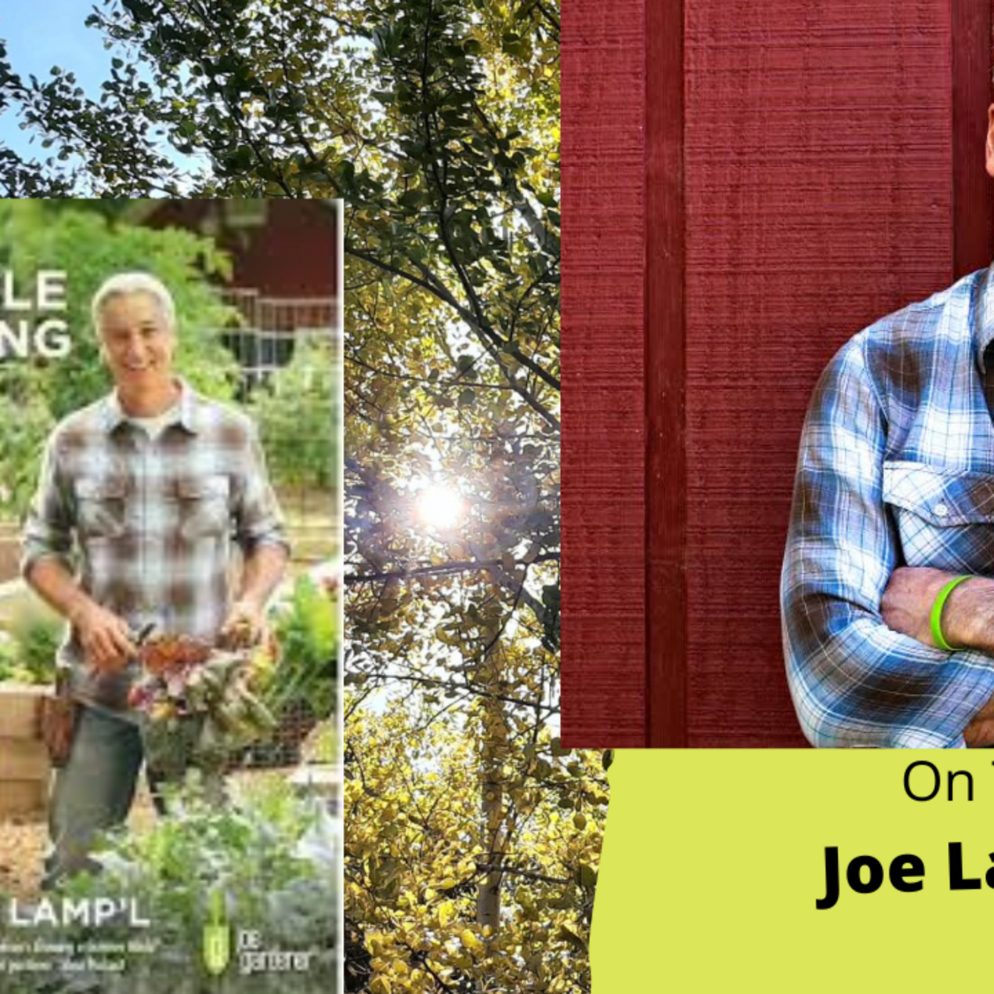 Episode 1024: Seg 3 of S7E9 Guest Joe Lamp'l - The Gardening with Joey and Holly Radio Show