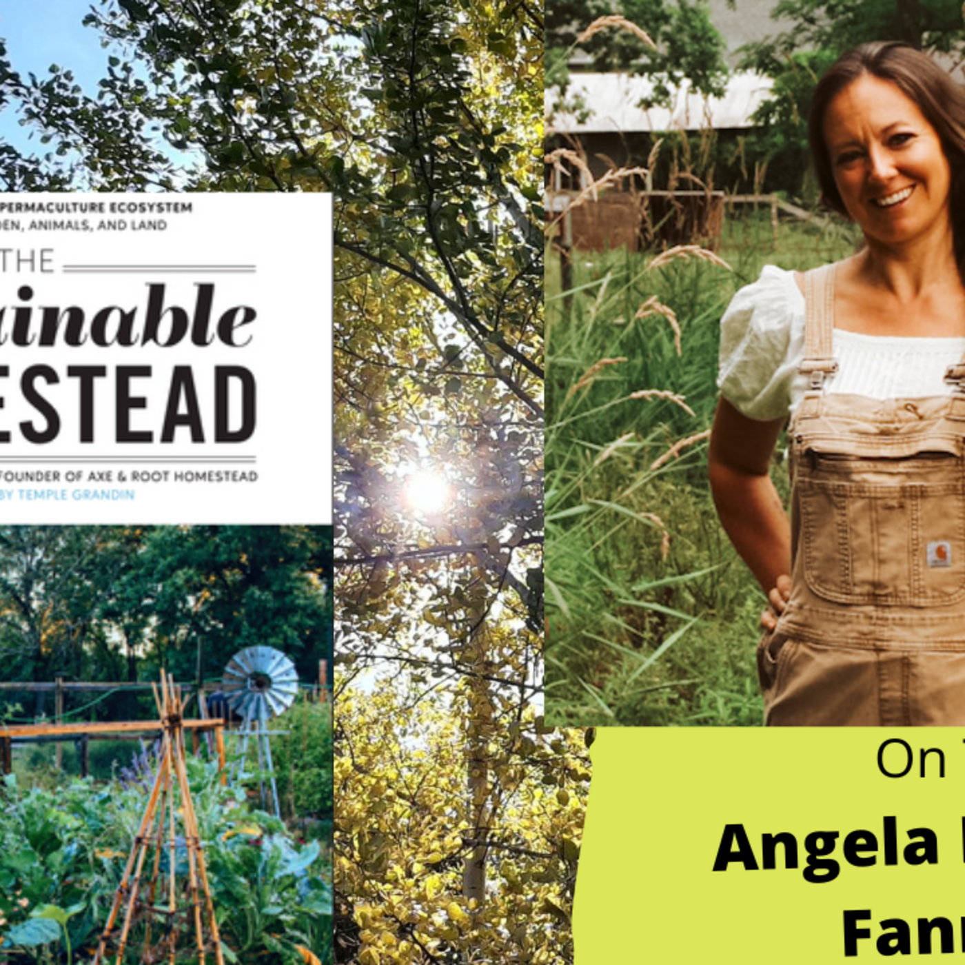 Episode 1034: Seg 3 of S7E11  Guest Angela Ferraro-Fanning -The Gardening with Joey and Holly Radio Show