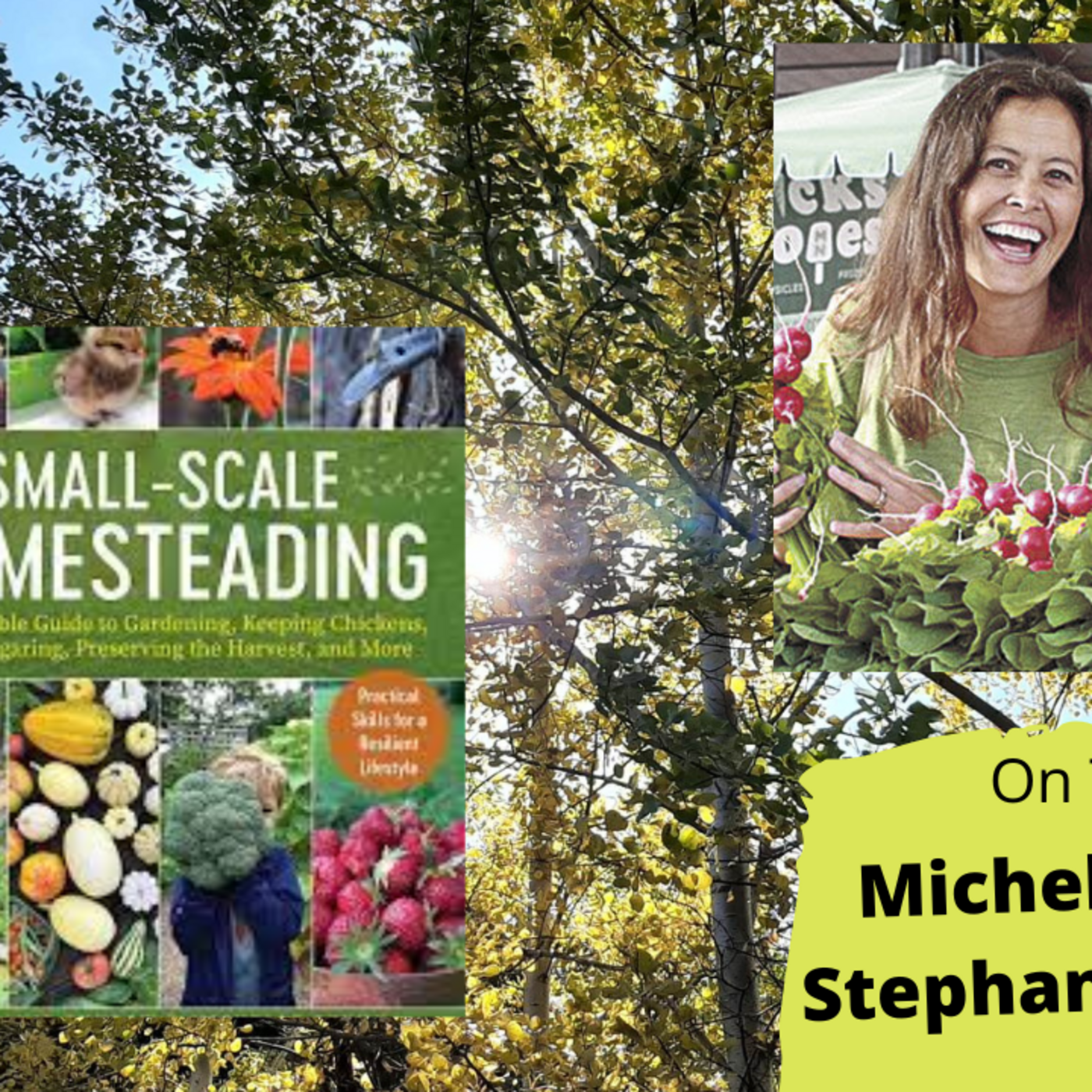 Episode 1064: Seg3 of S7E17  Guests co authors Stephanie Thurow & Michelle Bruhn about ubran homesteading - The Gardening with Joey and Holly Radio show