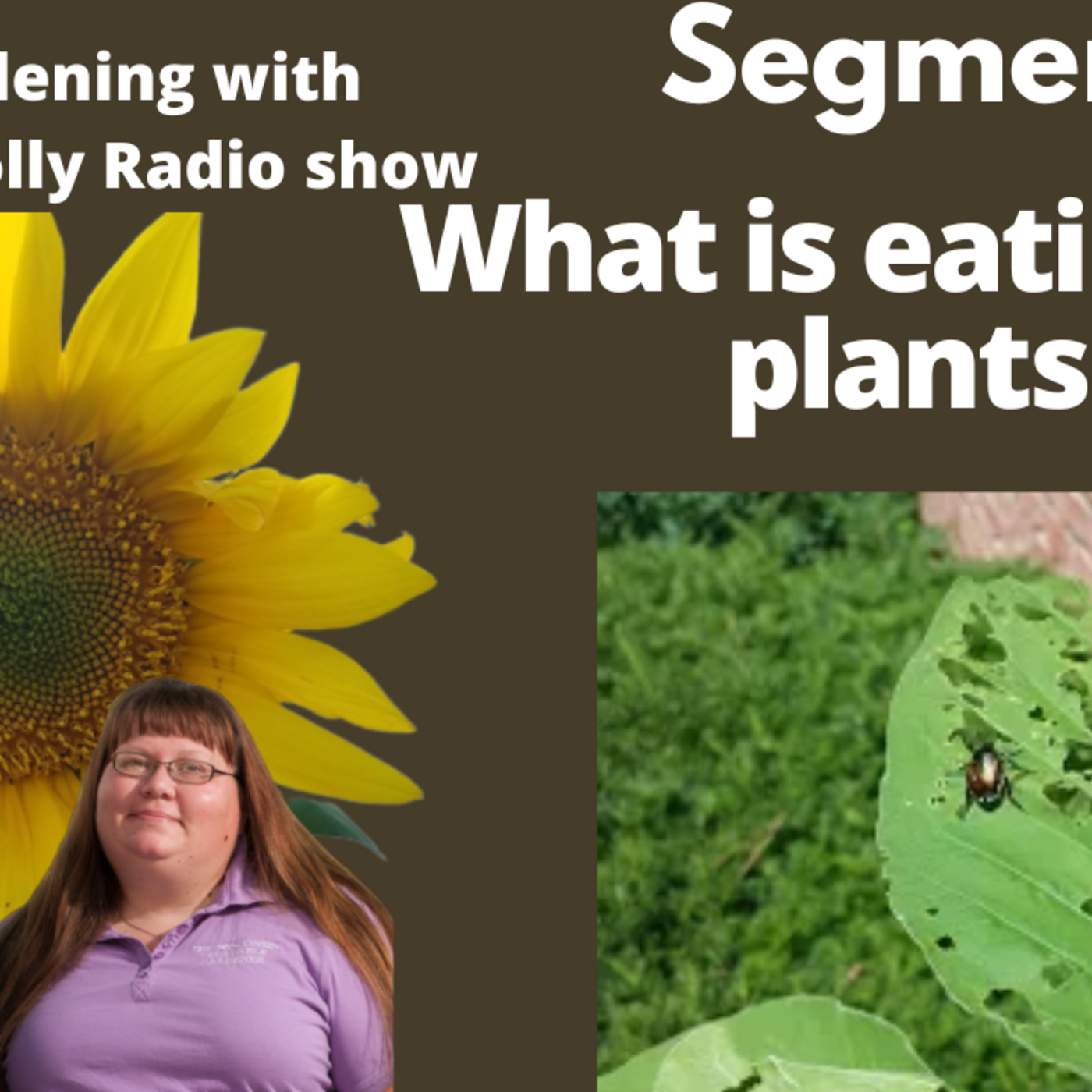 Episode 1068: Seg 2  of S7E18 What is eating my plants - The Gardening with Joey and Holly Radio Show