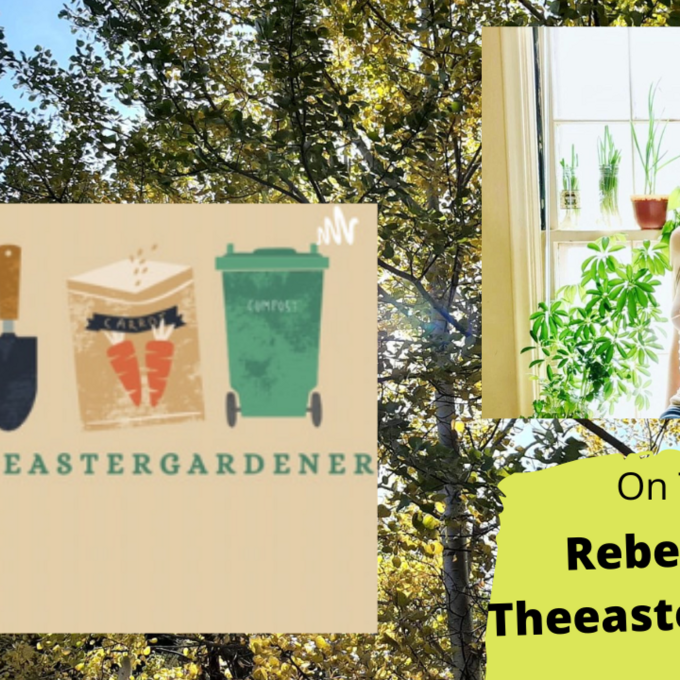 The Gardening with Joey & Holly radio show Podcast/Garden talk radio show (heard across the country)