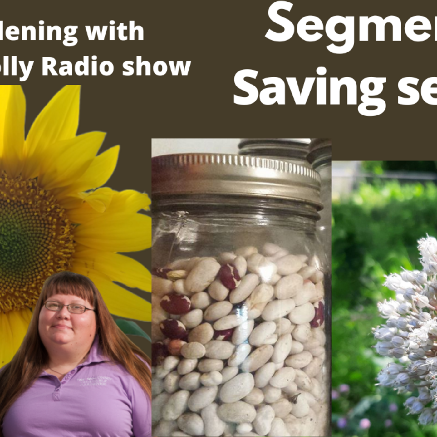 Episode 1093: Seg 2 of S7E23 seed saving in the fall  -The Gardening with Joey and Holly Radio Show