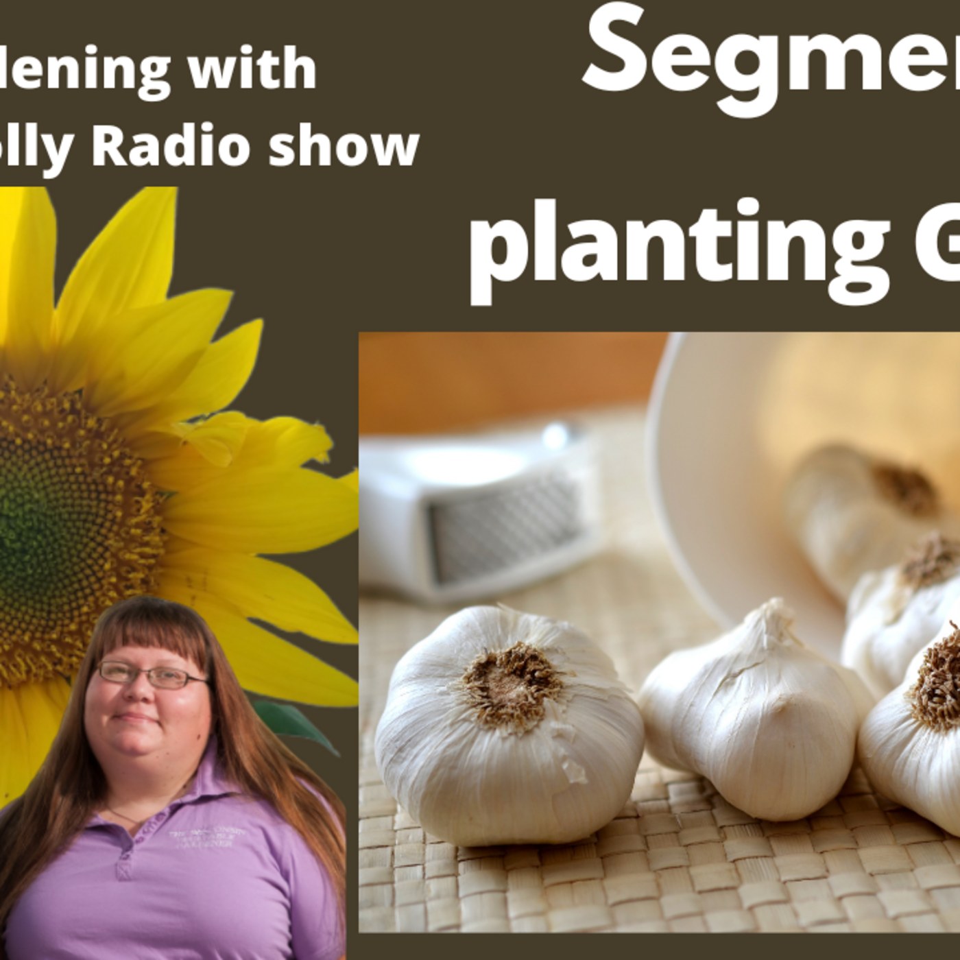 Episode 1103: seg 2 of S7E25 Planting fall garlic for spring harvest   -The Gardening with Joey and Holly Radio Show