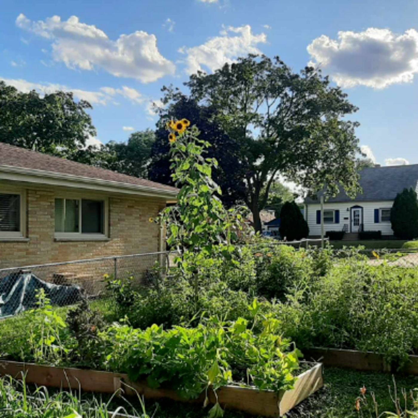 The Gardening with Joey & Holly radio show Podcast/Garden talk radio show (heard across the country)