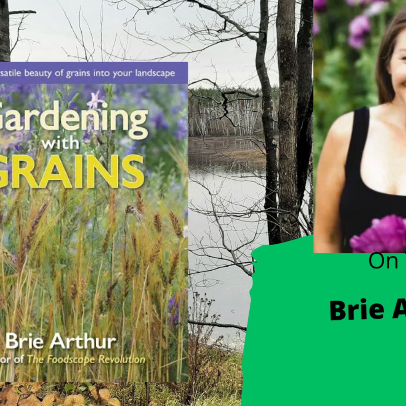 Episode 1328: Seg 3 of  S8E35 Guest Brie Arthurn- The Gardening with Joey and Holly Radio Show