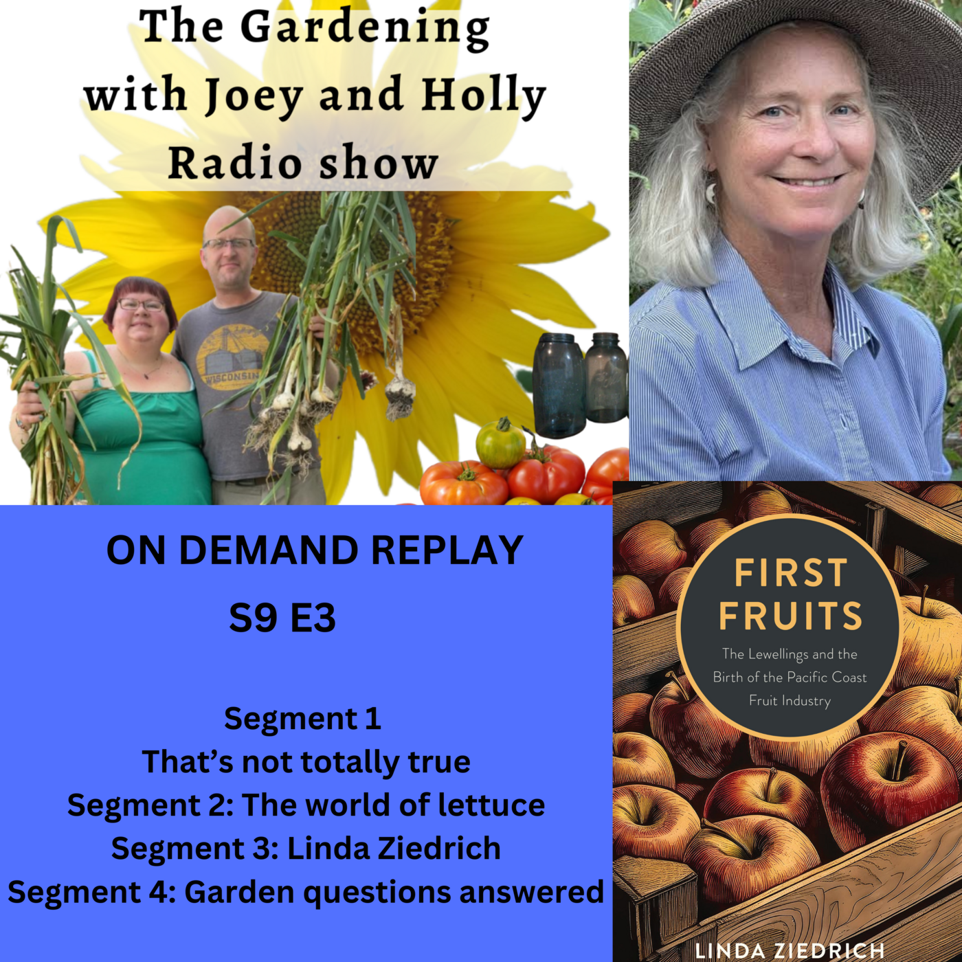Episode 1340: S9E3 That’s not totally true, The world of lettuce, Guest Linda Ziedrich - The Gardening with Joey and Holly Radio Show