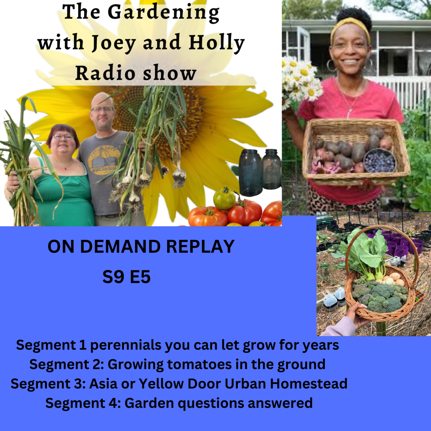 Episode 1353: S9E5 perennials you can eat, Growing tomatoes, guest Asia of YellowDoorUrbanHomestead - The Gardening with Joey and Holly Radio Show