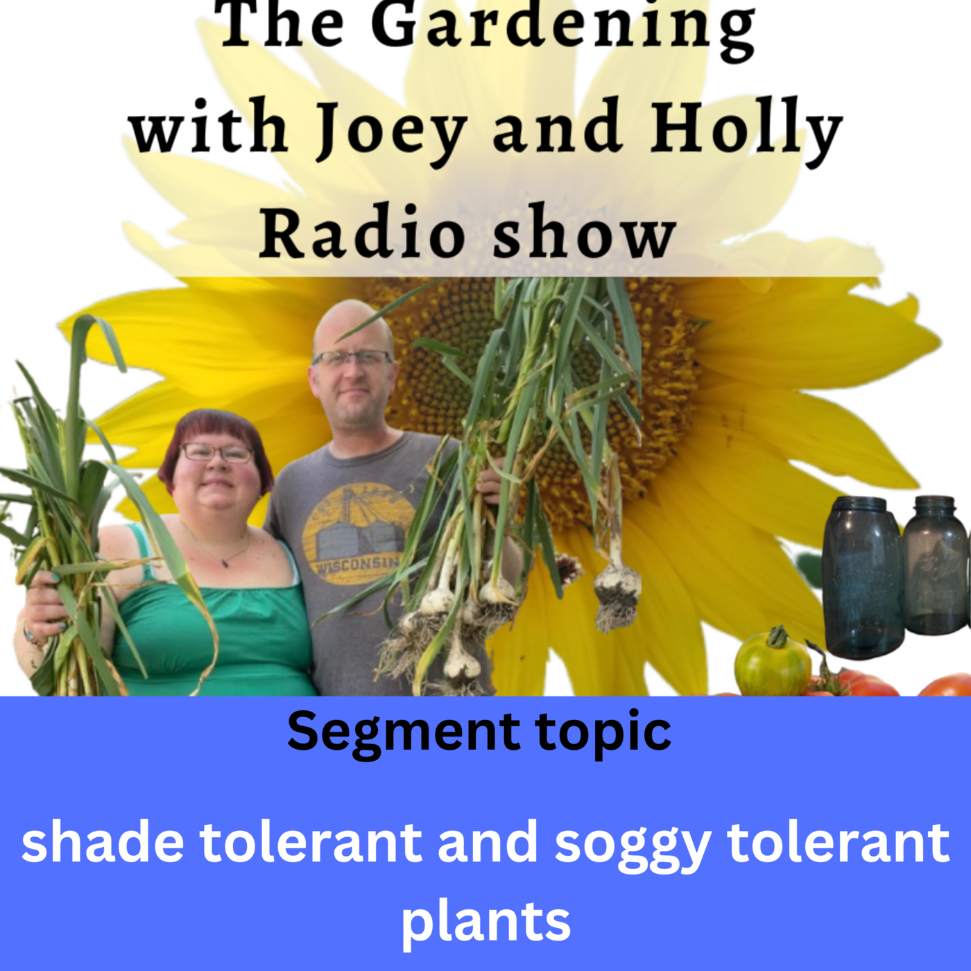 Episode 1378: Seg 2 S9E10 Shade and soggy tolerant plants - The Gardening with Joey and Holly Radio Show