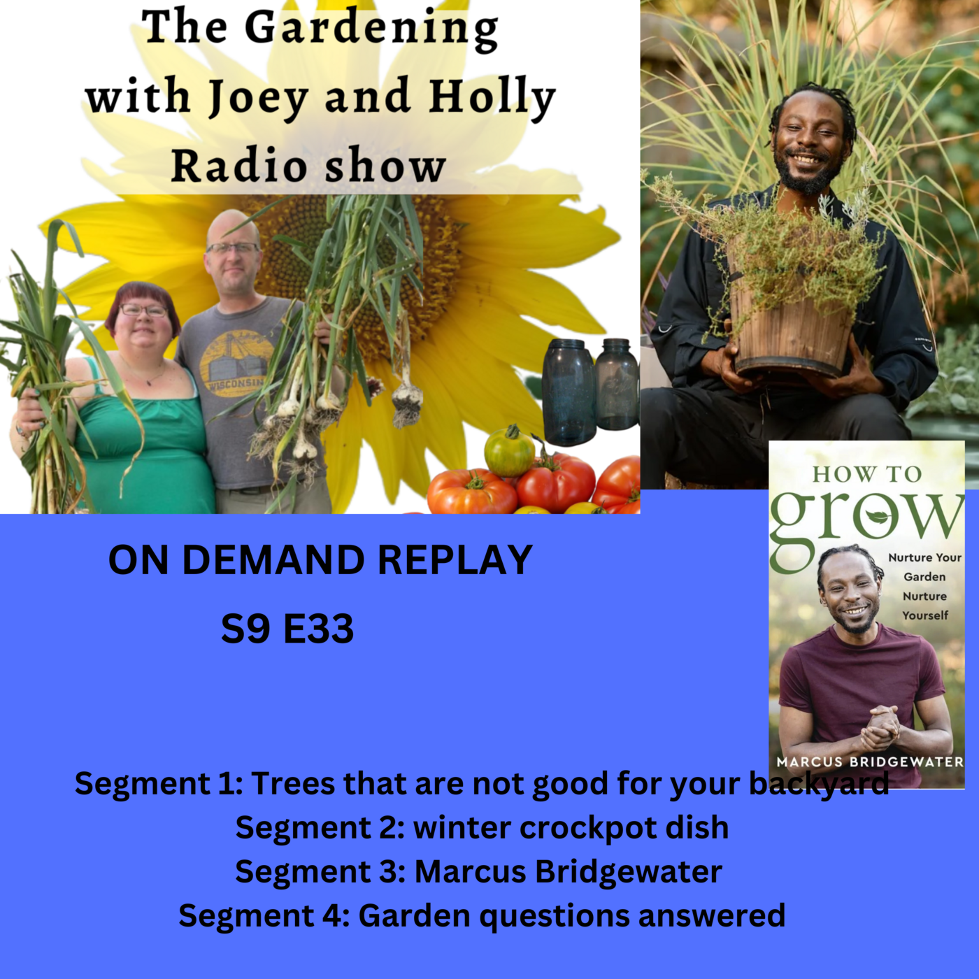 Episode 1489: S9E33 Trees that are not good for your backyard winter, crockpot dish, guest Marcus Bridgewater - The Gardening with Joey and Holly Radio show