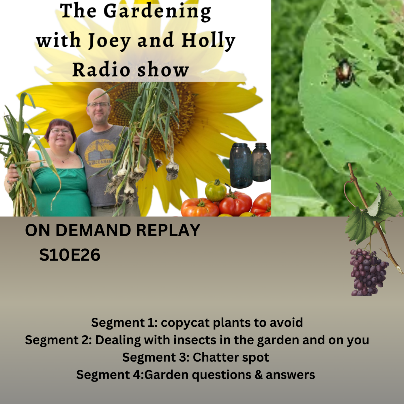 S10E26 copycat plants to avoid, Dealing with insects in the garden & on you, Chatter spot Garden q&a - The Gardening with Joey and Holly Radio Show episode artwork