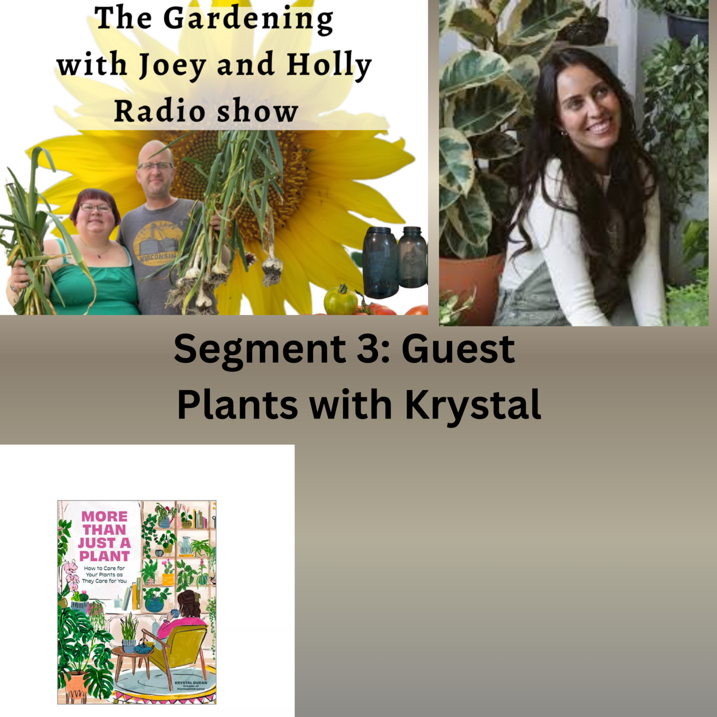 Seg 3 S10E36 Guest Plants with Krystal - The Gardening with Joey and Holly radio Show