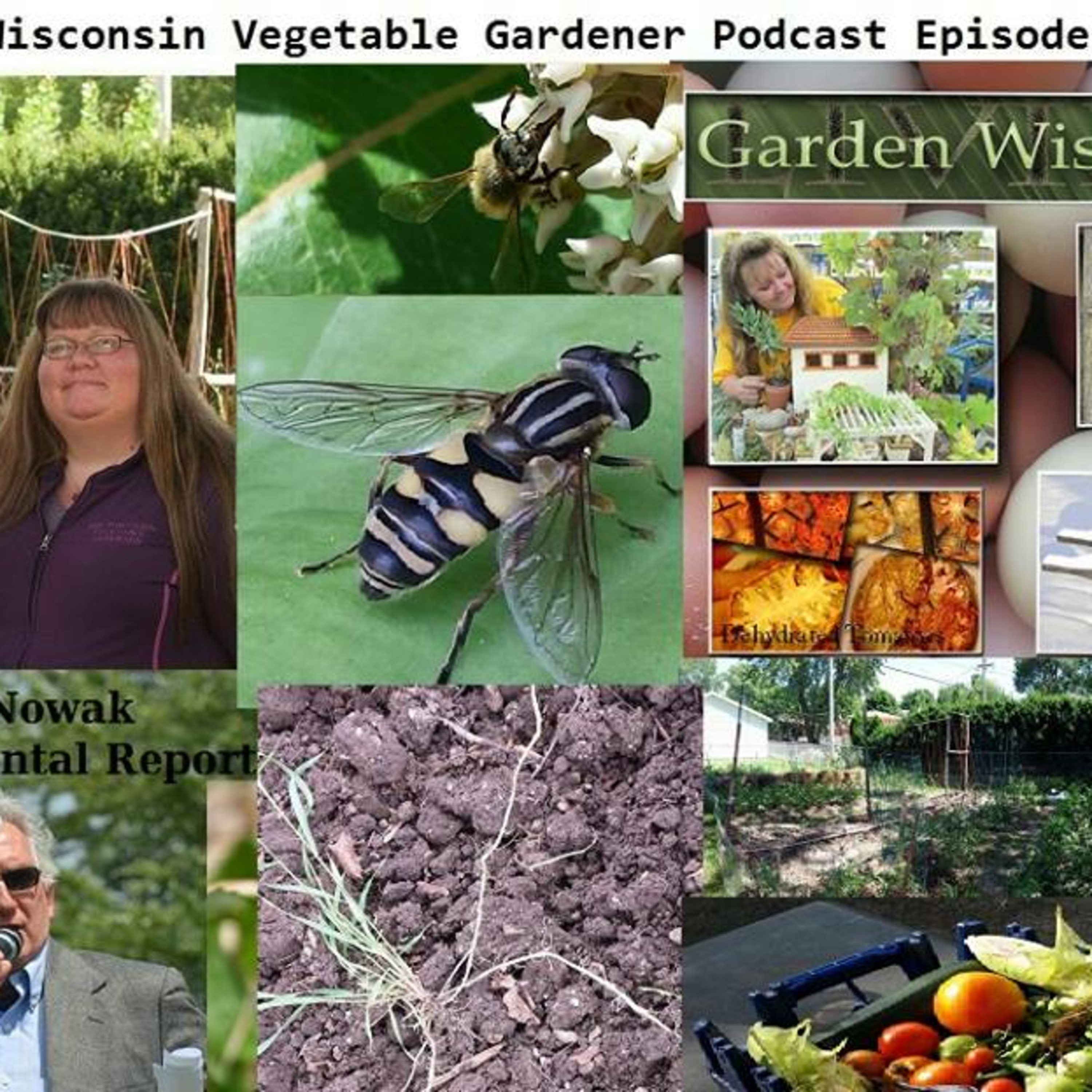 The Gardening with Joey & Holly radio show Podcast/Garden talk radio show (heard across the country)