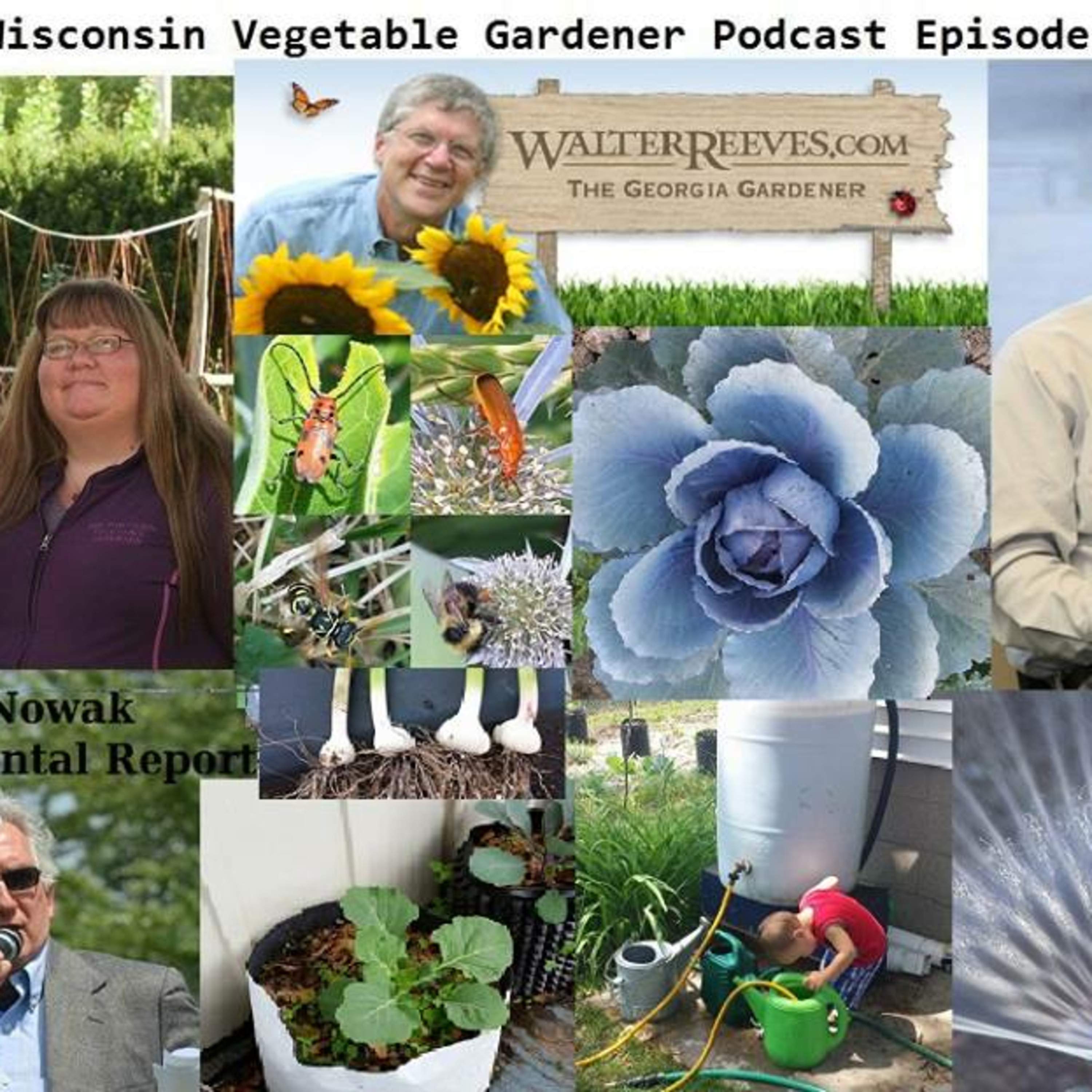 The Gardening with Joey & Holly radio show Podcast/Garden talk radio show (heard across the country)