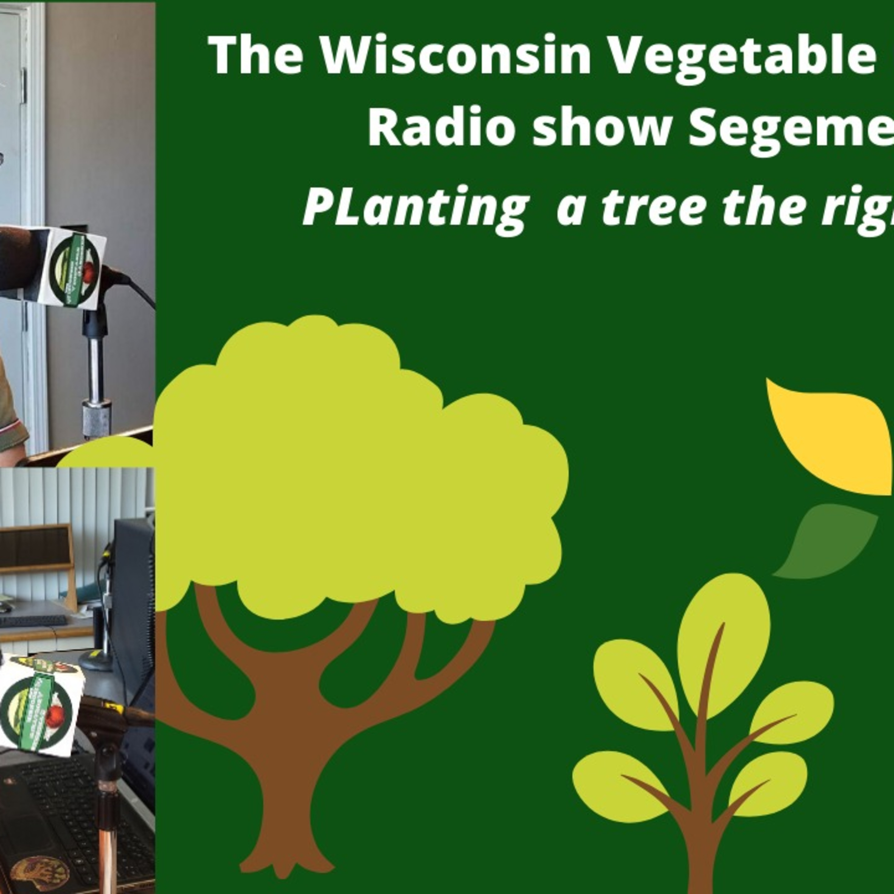 The Gardening with Joey & Holly radio show Podcast/Garden talk radio show (heard across the country)