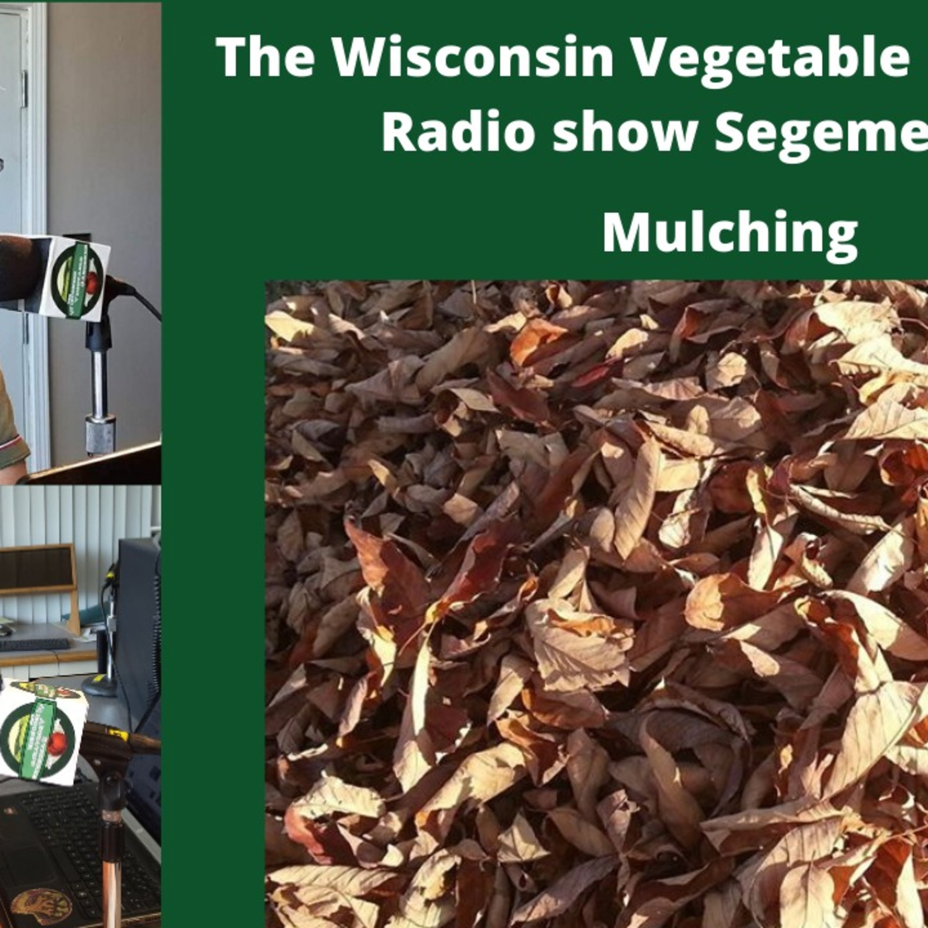 The Gardening with Joey & Holly radio show Podcast/Garden talk radio show (heard across the country)