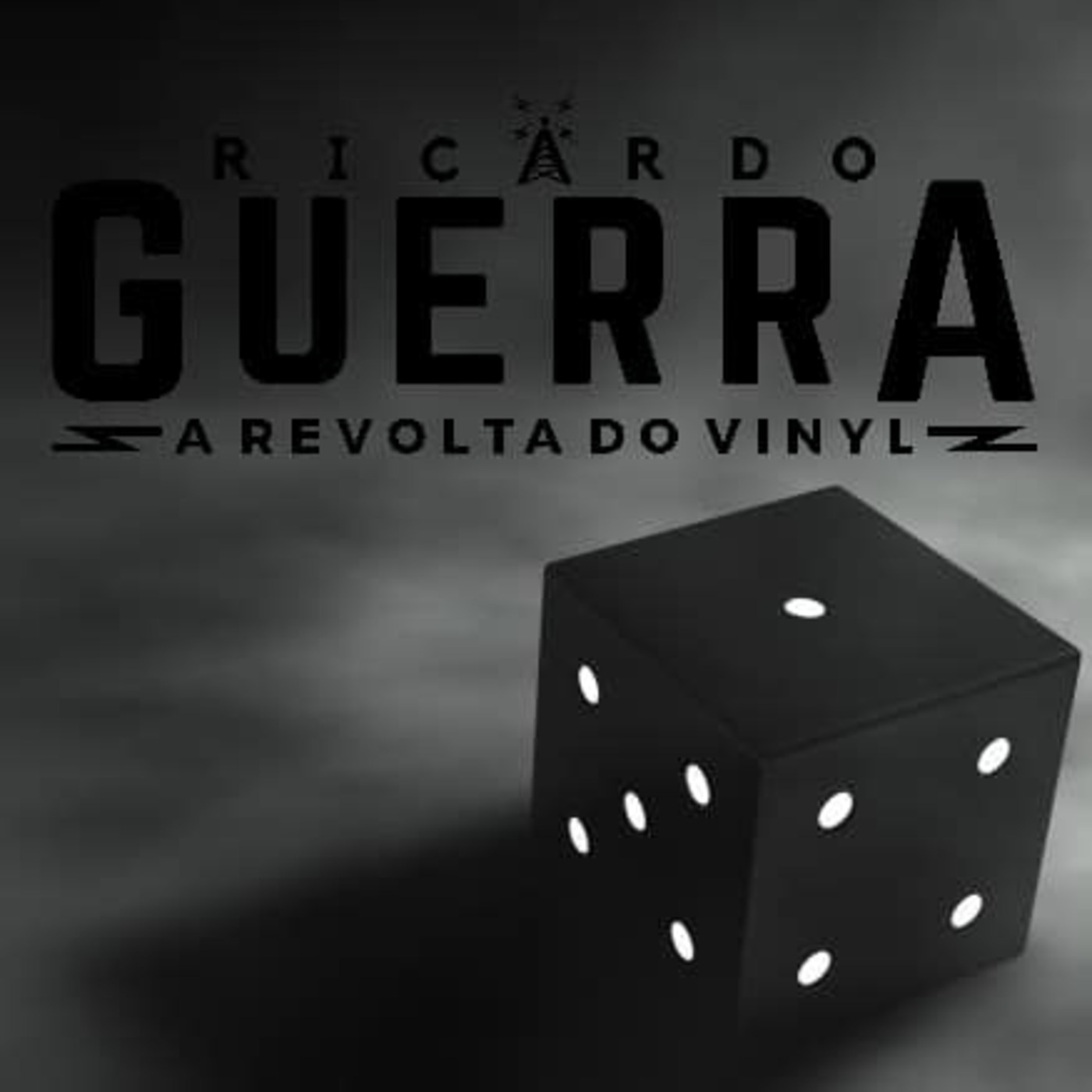 A REVOLTA do Vinyl | Ricardo Guerra