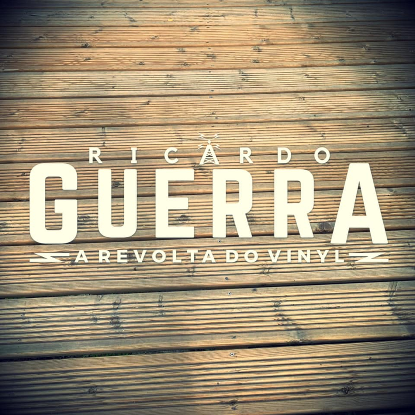 A REVOLTA do Vinyl | Ricardo Guerra