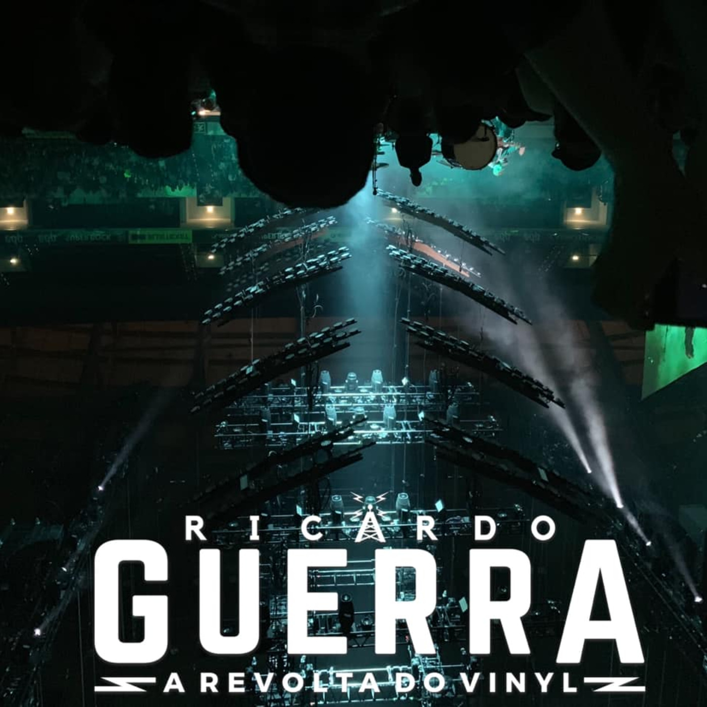 A REVOLTA do Vinyl | Ricardo Guerra