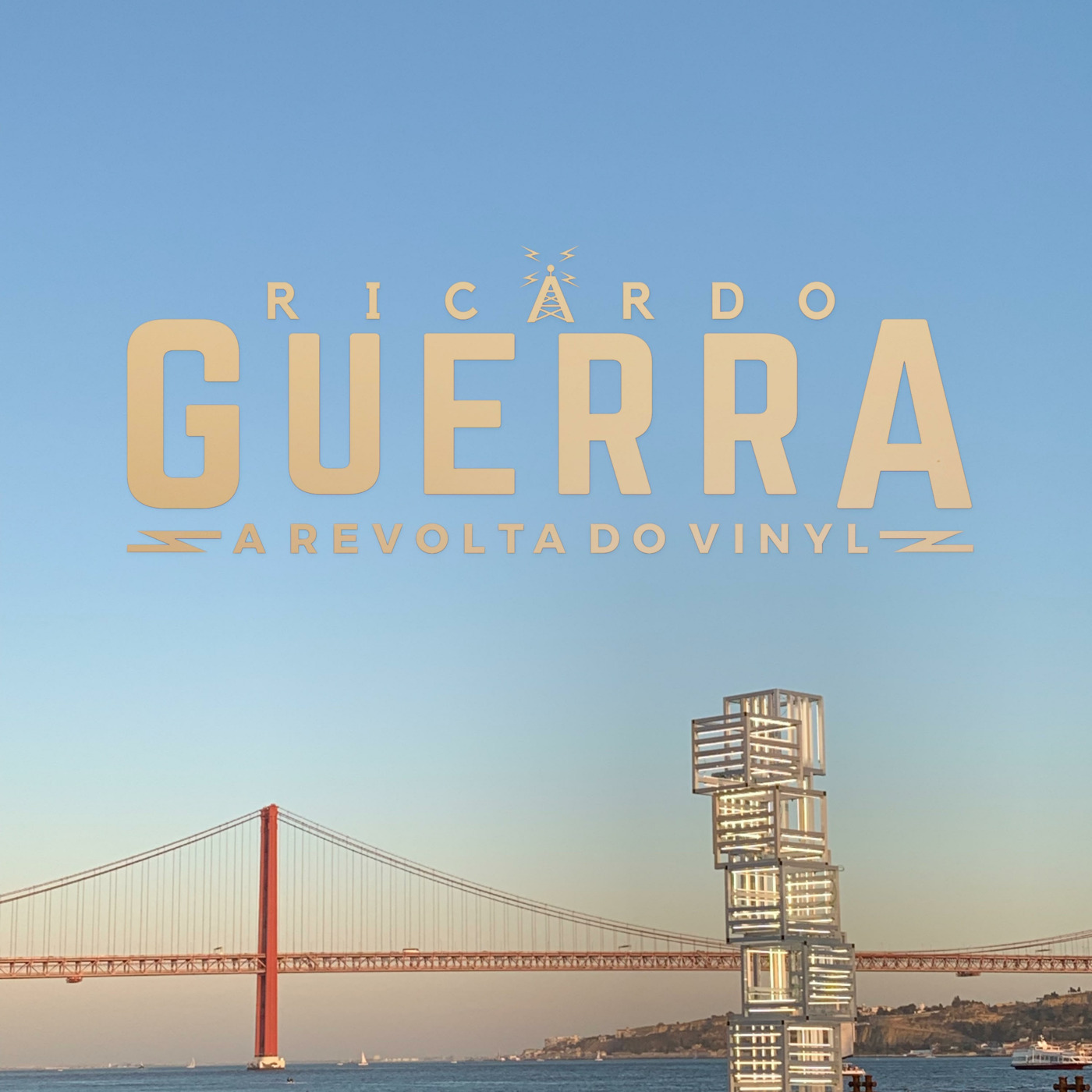 A REVOLTA do Vinyl | Ricardo Guerra