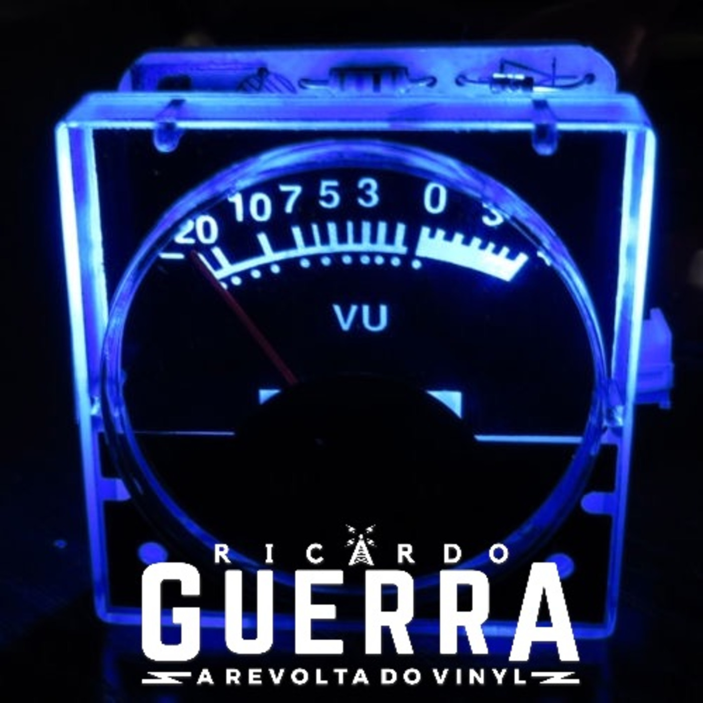 A REVOLTA do Vinyl | Ricardo Guerra