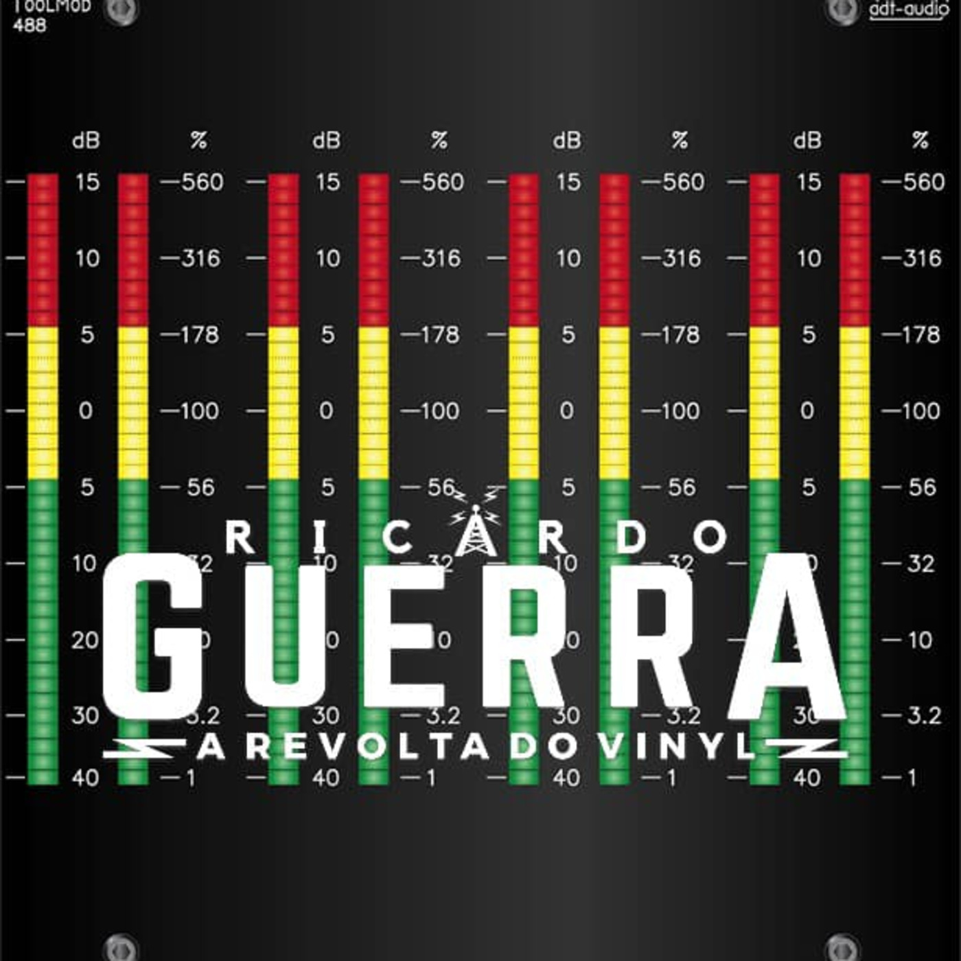 A REVOLTA do Vinyl | Ricardo Guerra